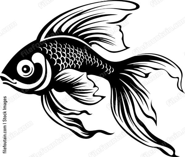 Aquarium Fish