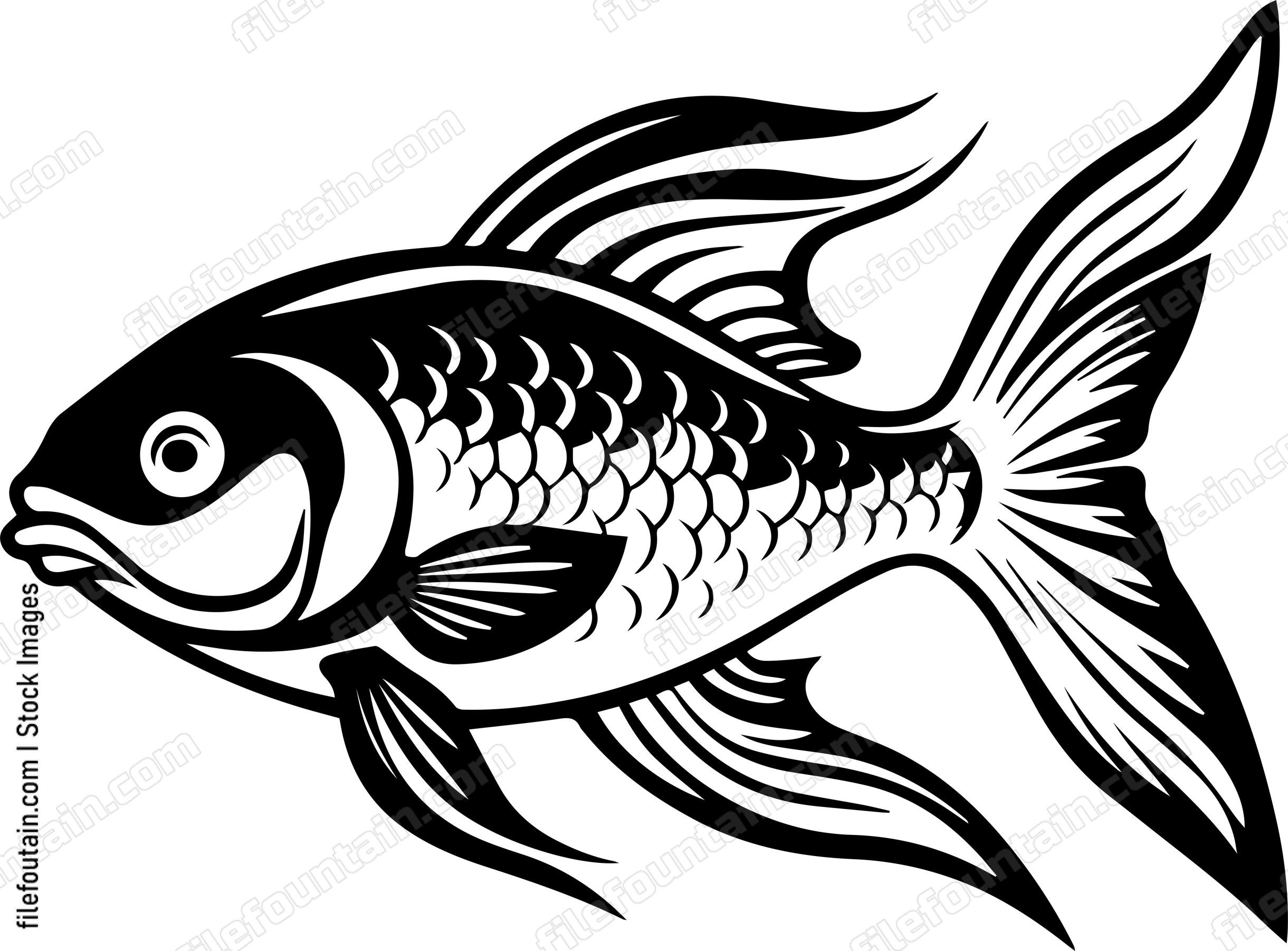 Aquarium Fish