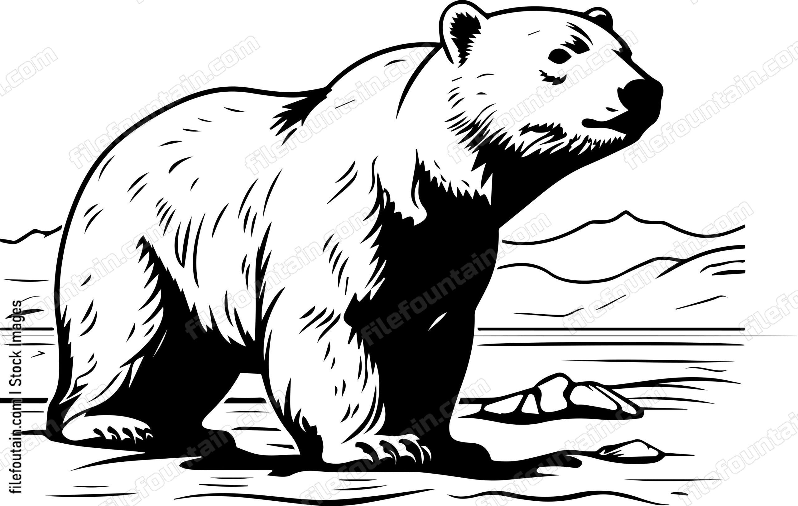 Arctic