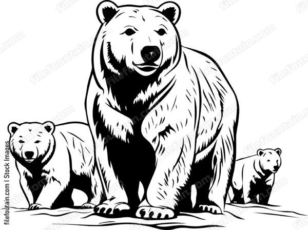 Arctic Polar Bears