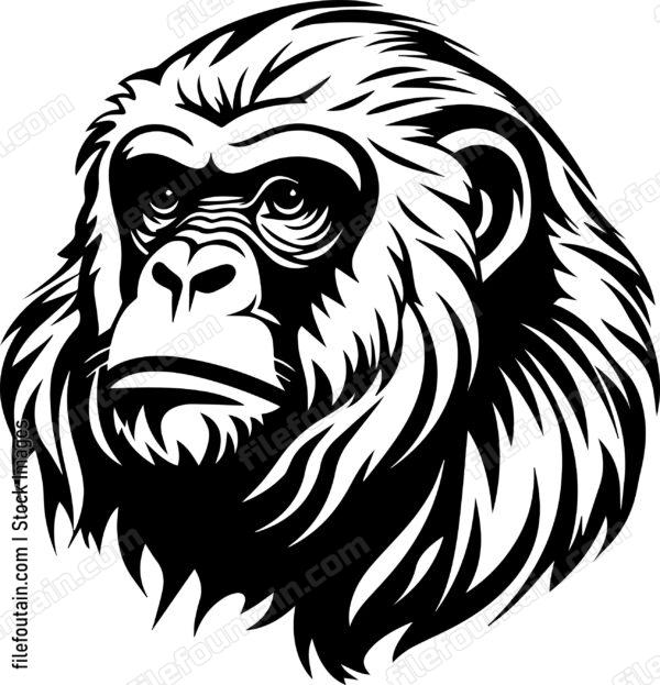 Baboon