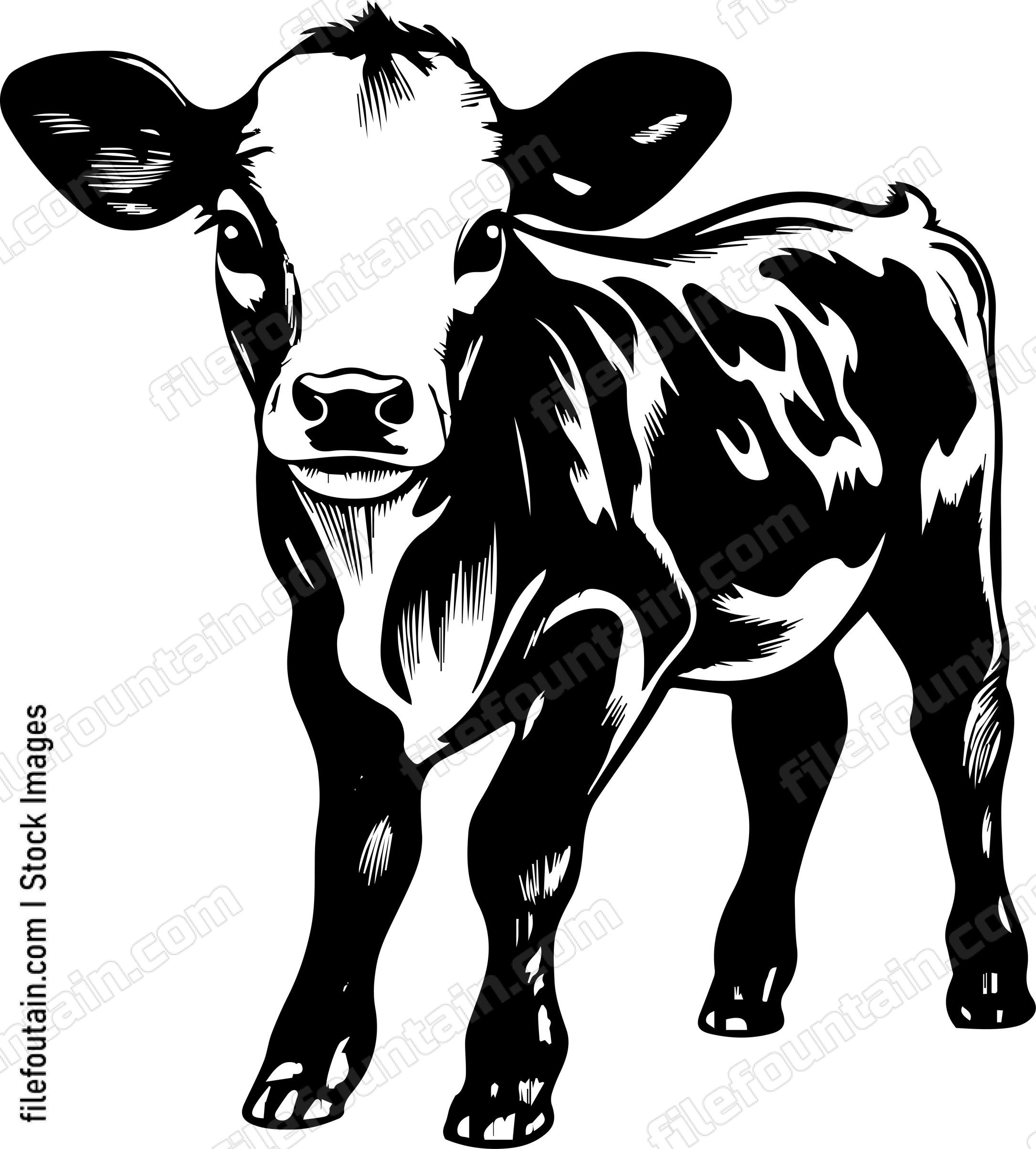 Baby Cow