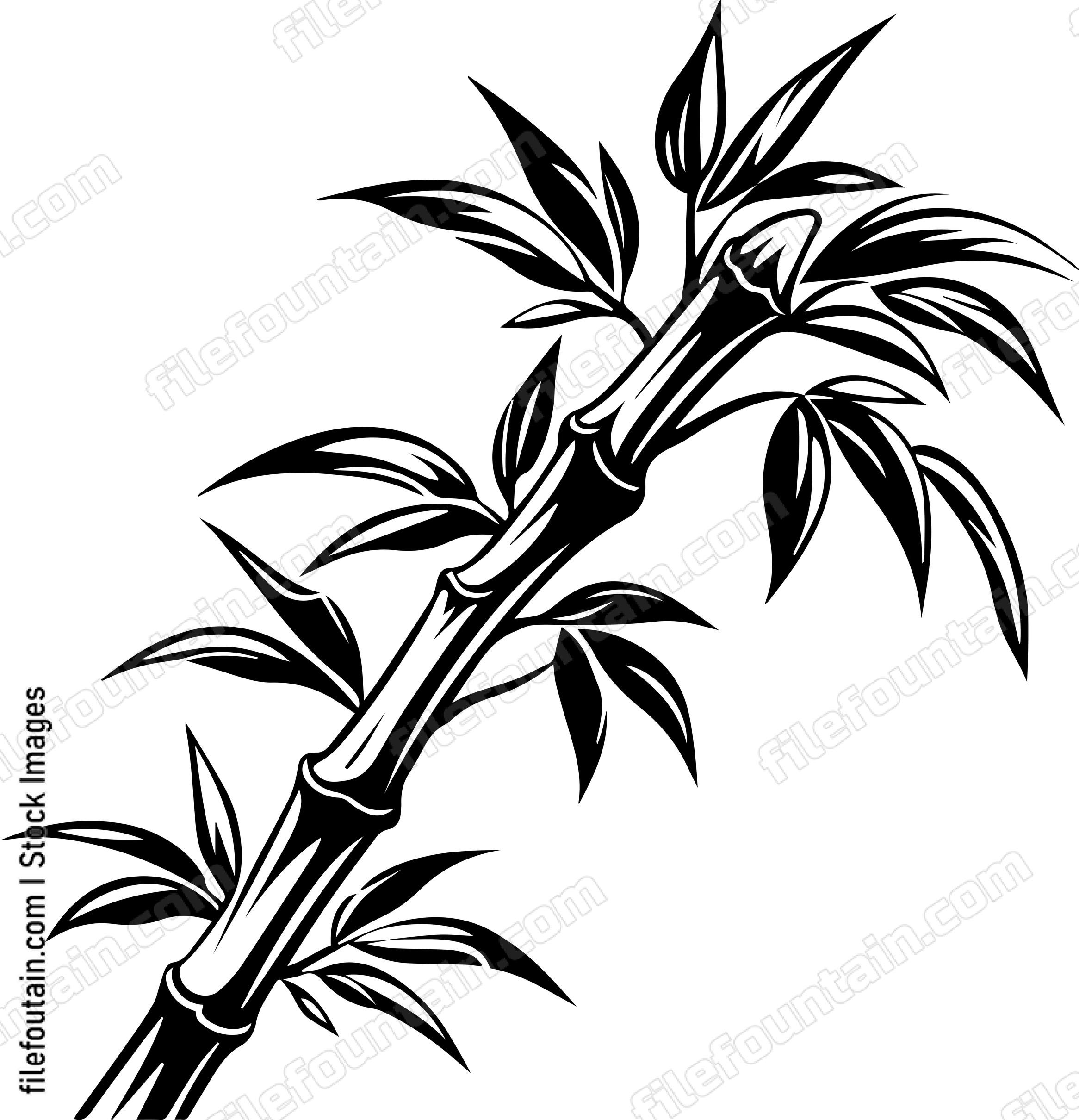 Bamboo