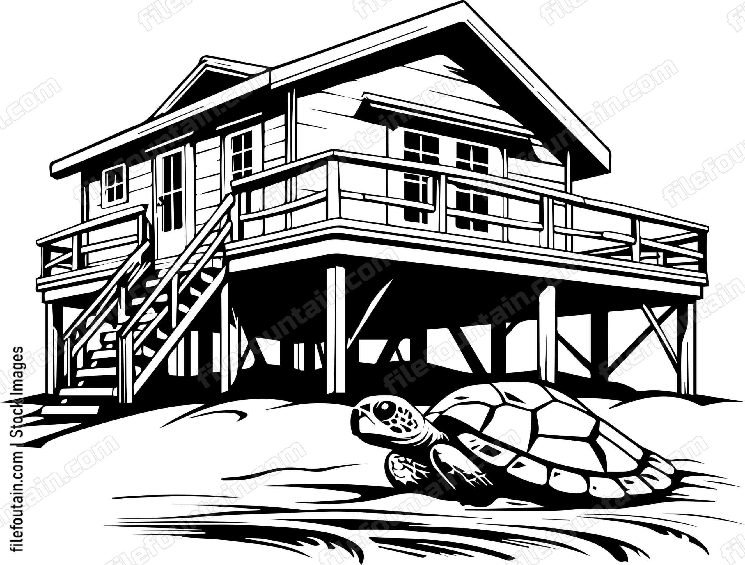 Beach House