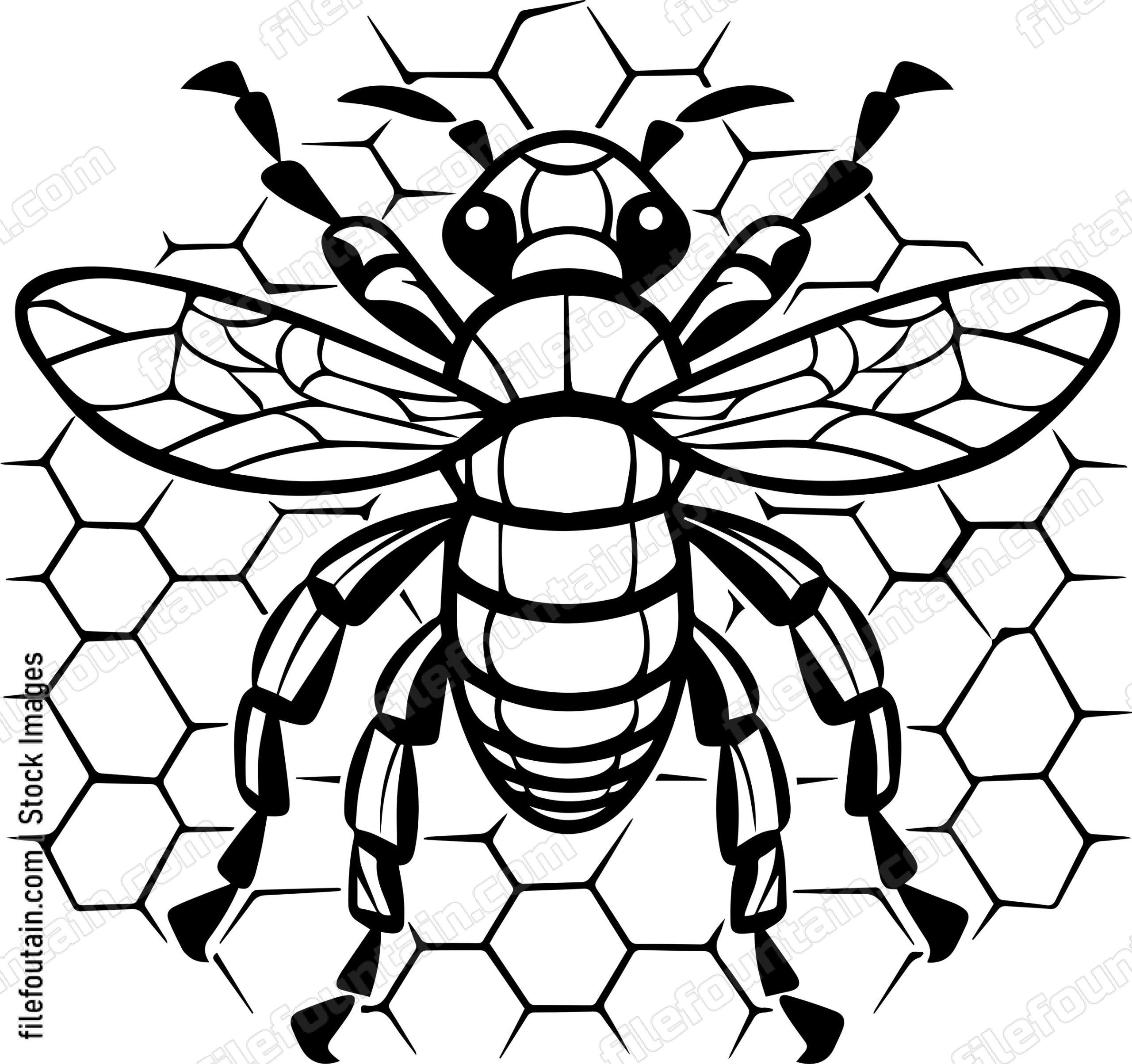 Bee Honeycomb