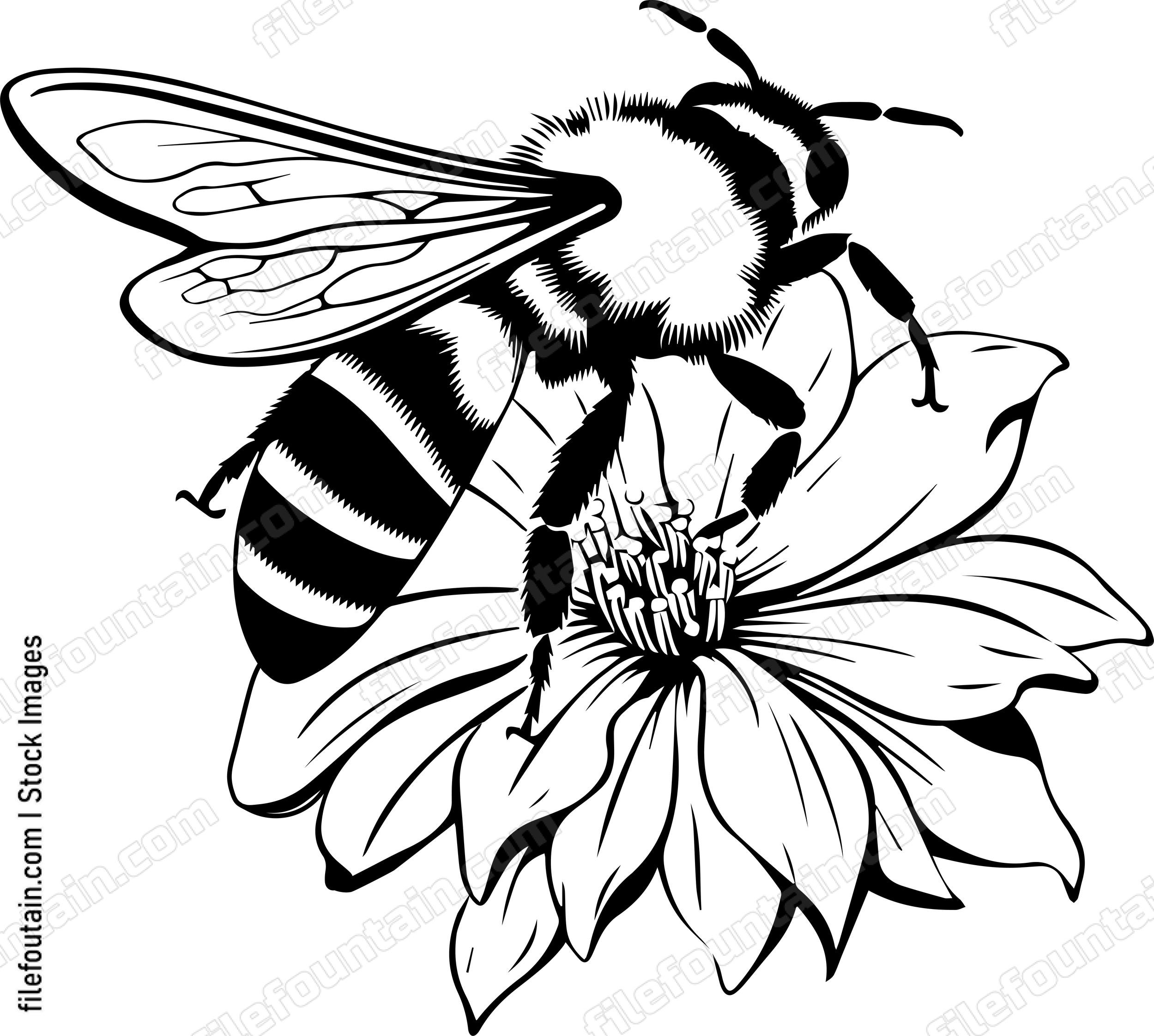 Bee Pollinating Flower