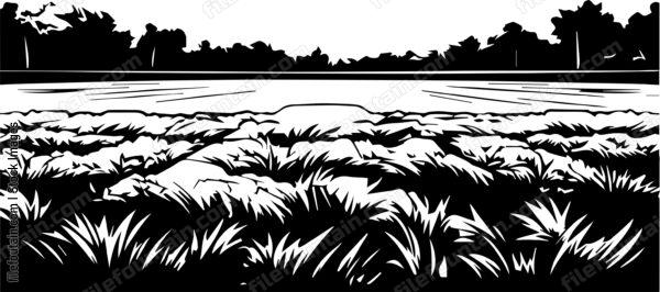 Grass Field