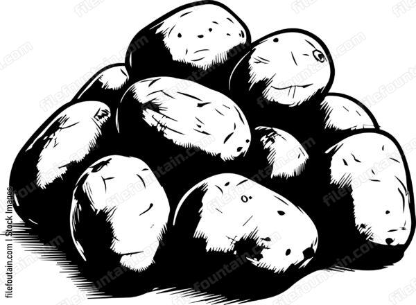Potatoes