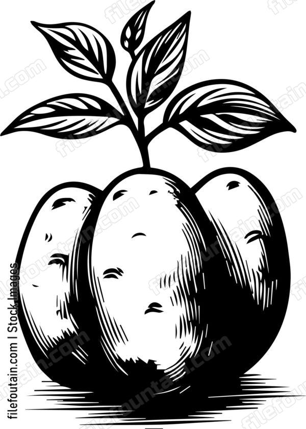 Potatoes