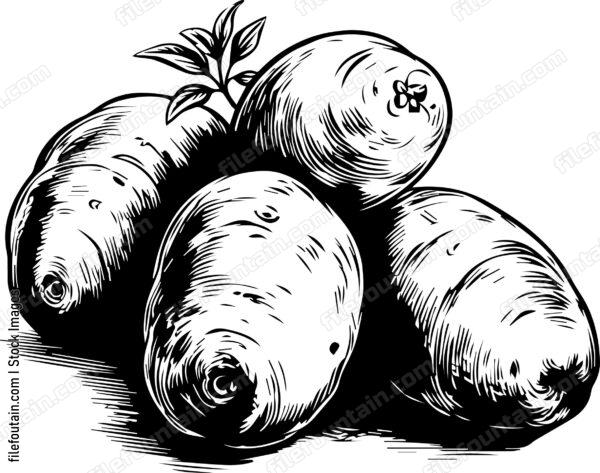 Potatoes