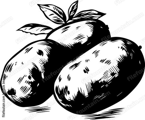 Potatoes
