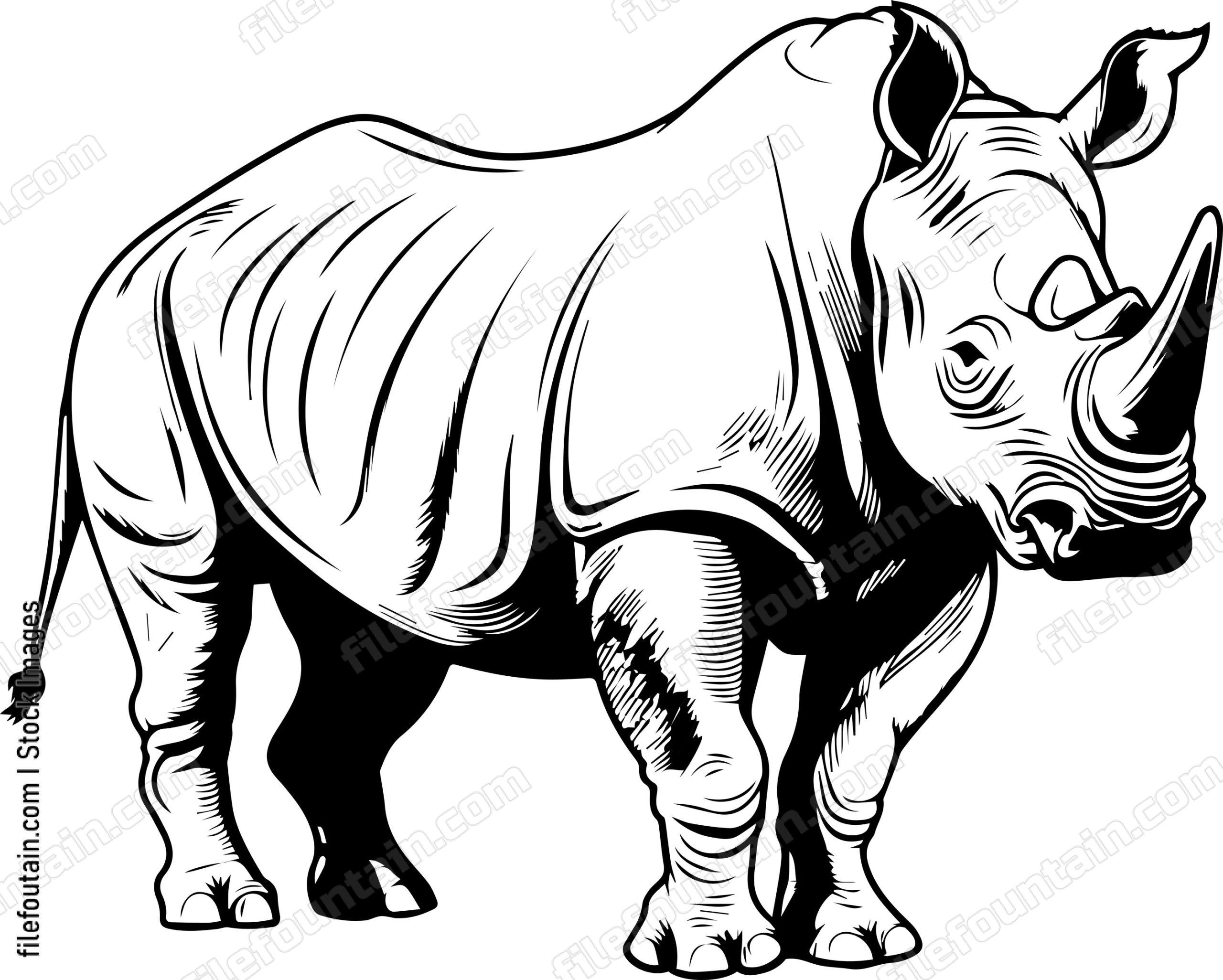 Rhino