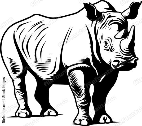 Rhino