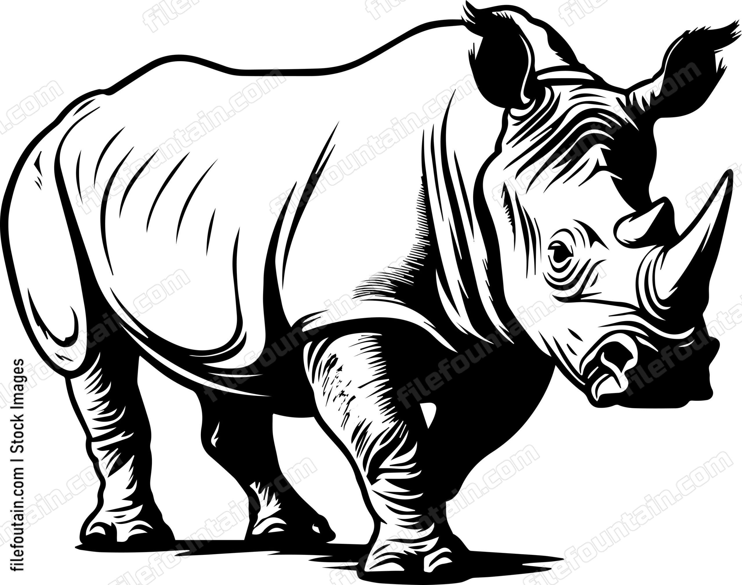 Rhino