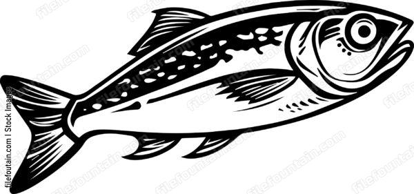 Sardines