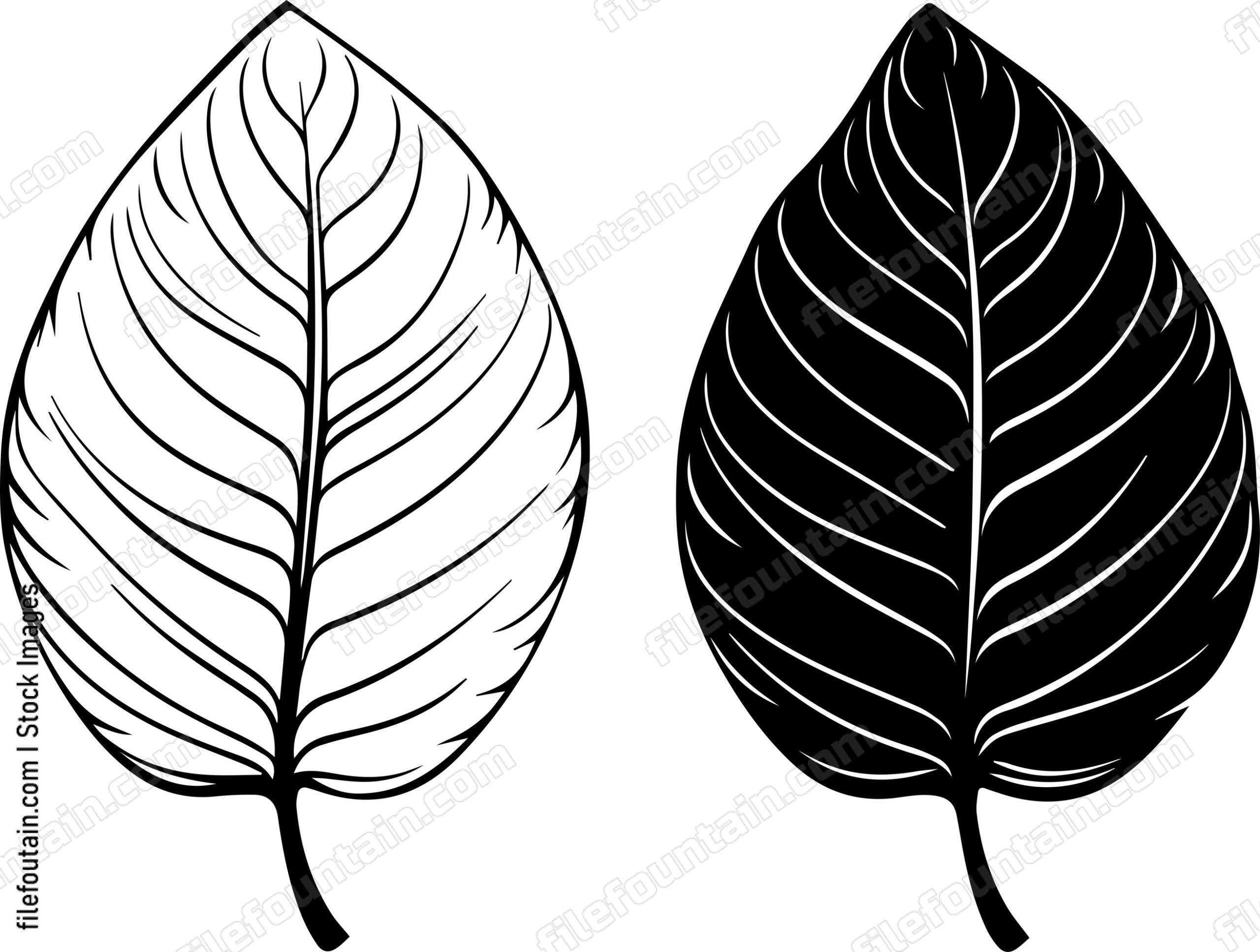 Alder Leaves