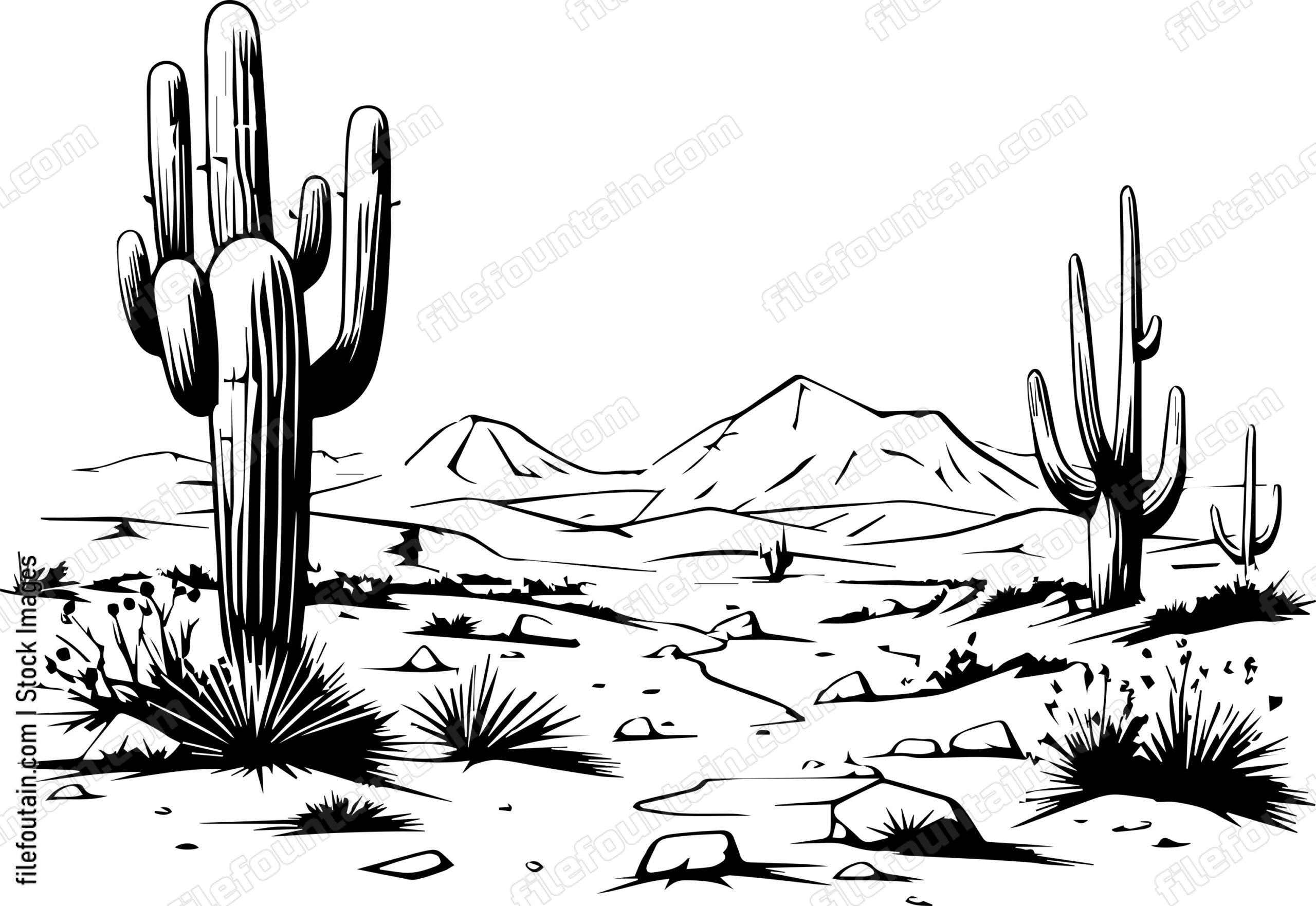 Americas Desert