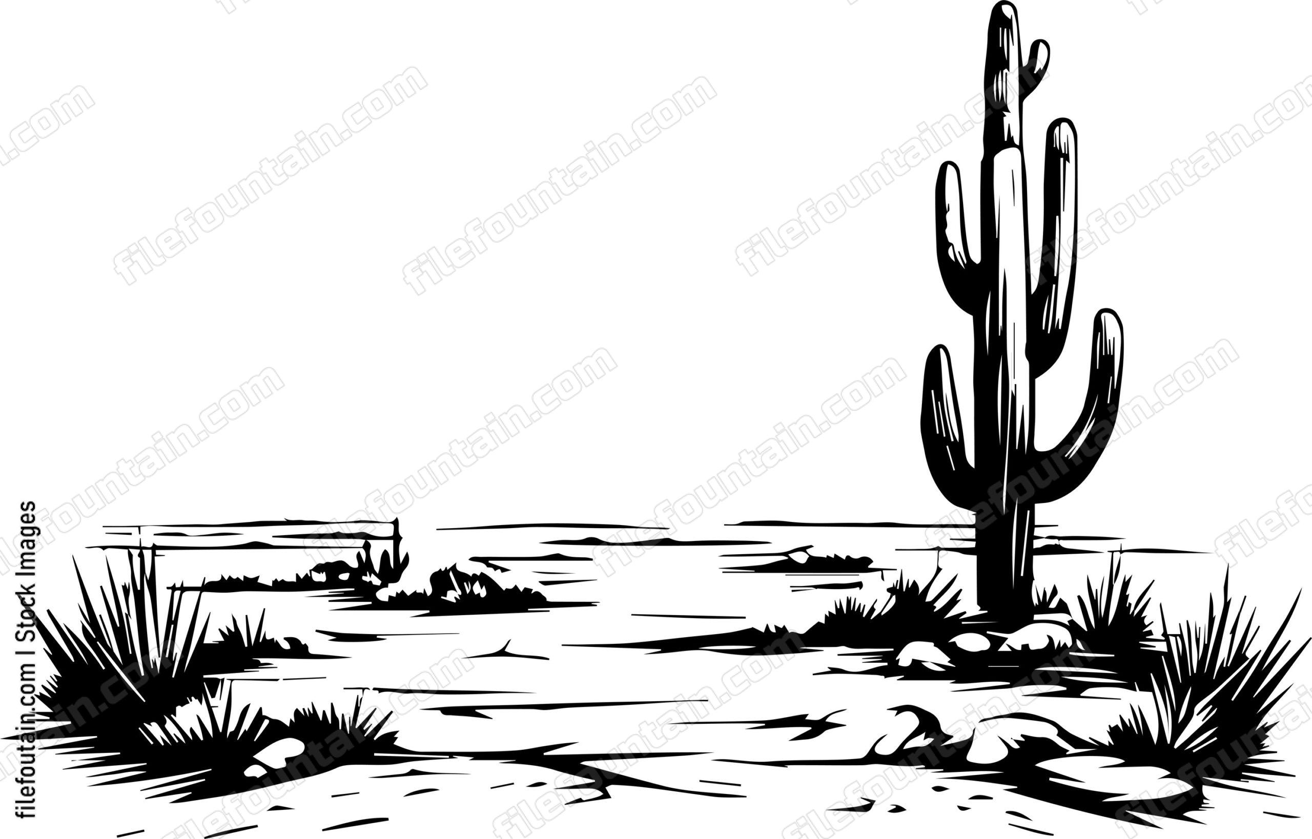 Americas Desert