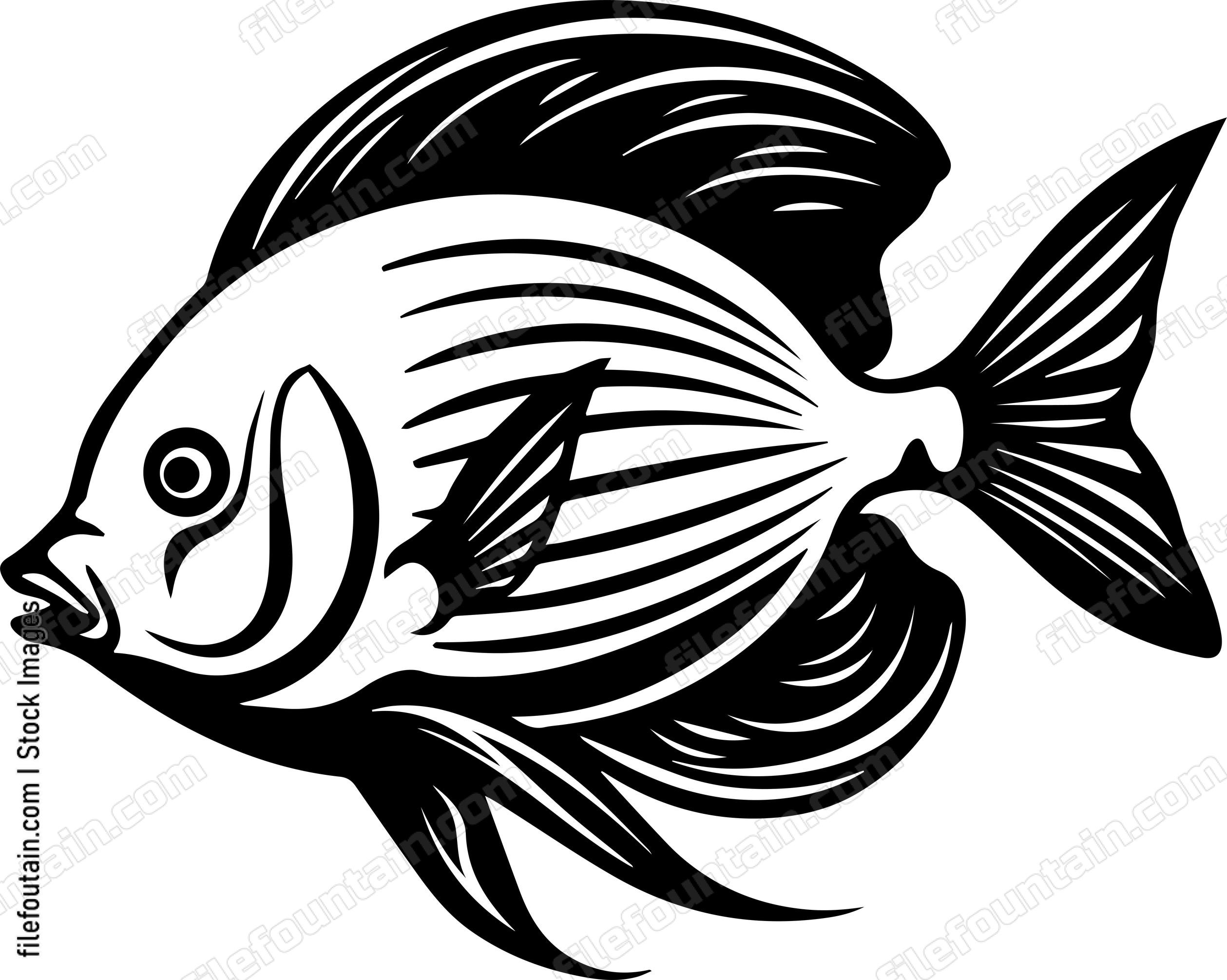 Angelfish
