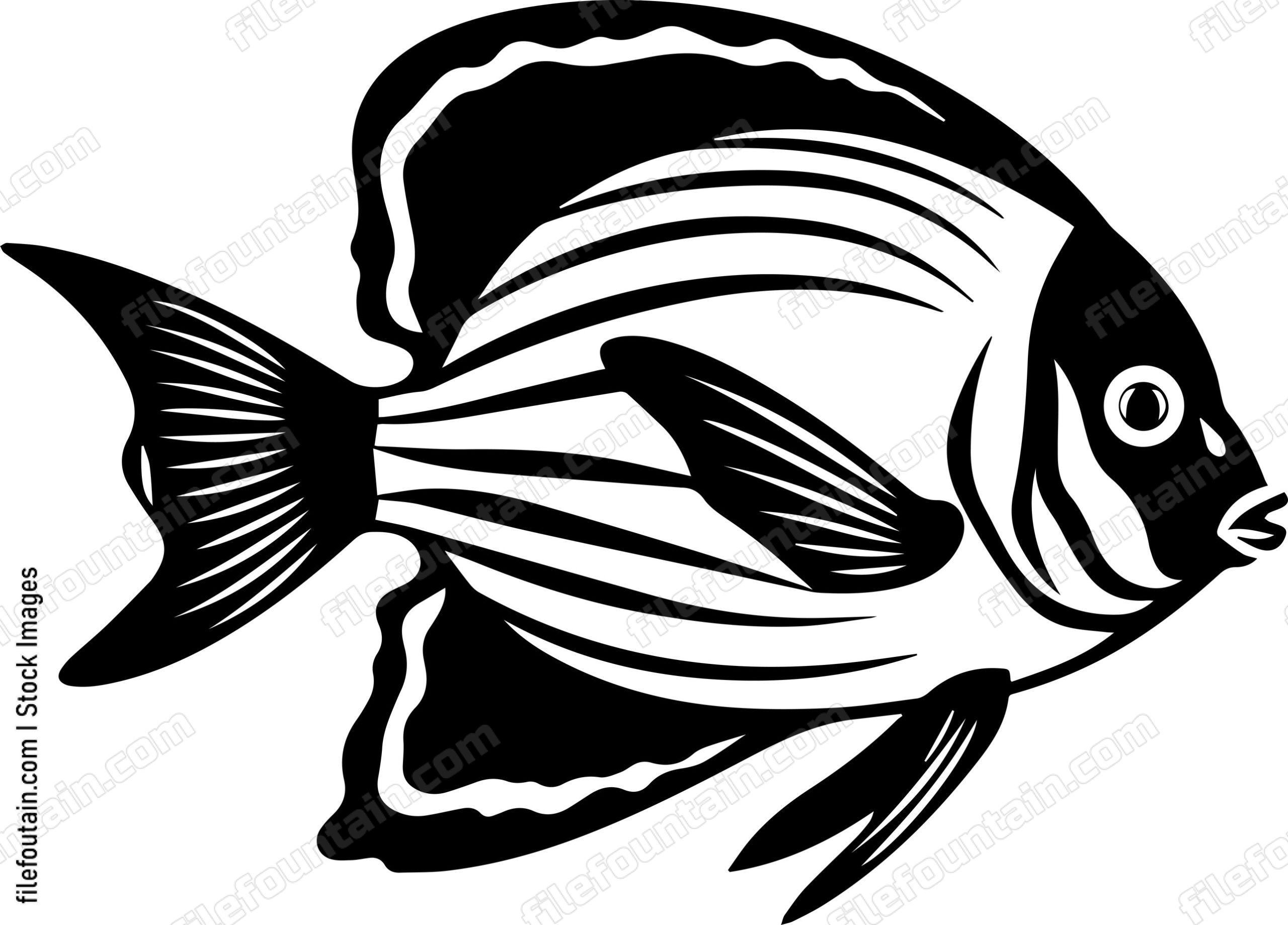 Angelfish
