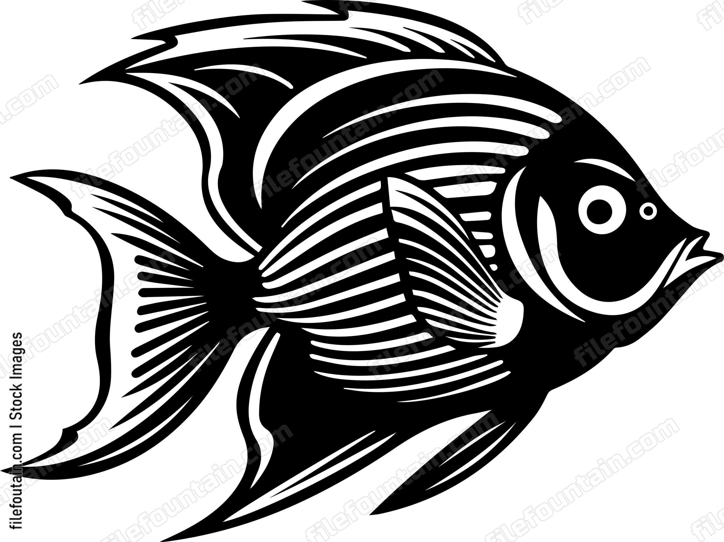 Angelfish