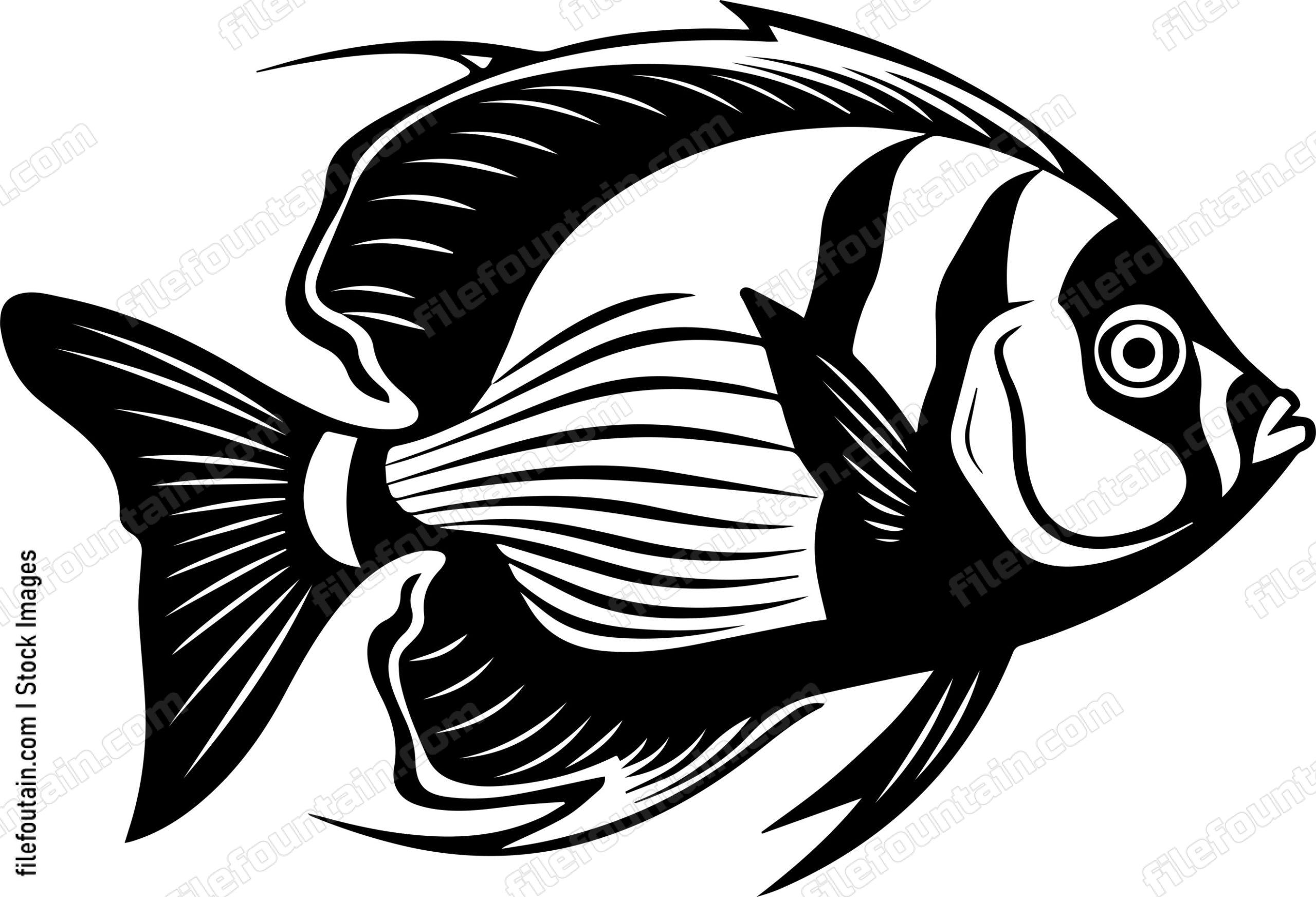 Angelfish