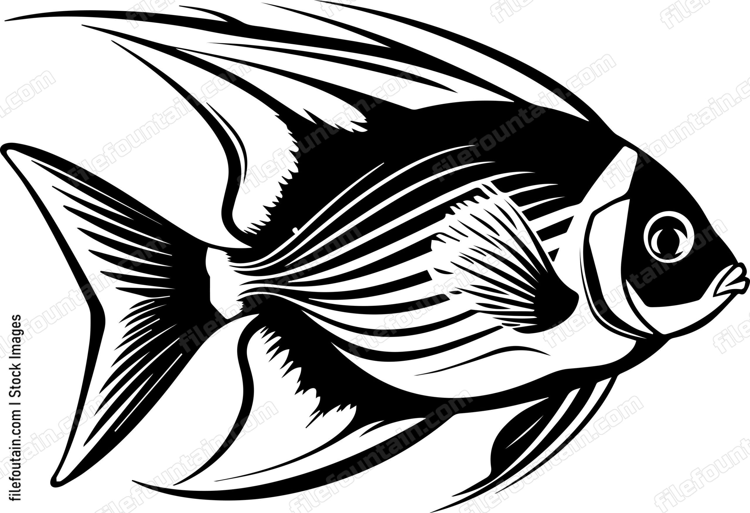 Angelfish