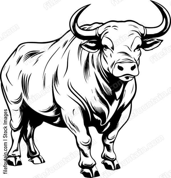 Angry Bull Pose