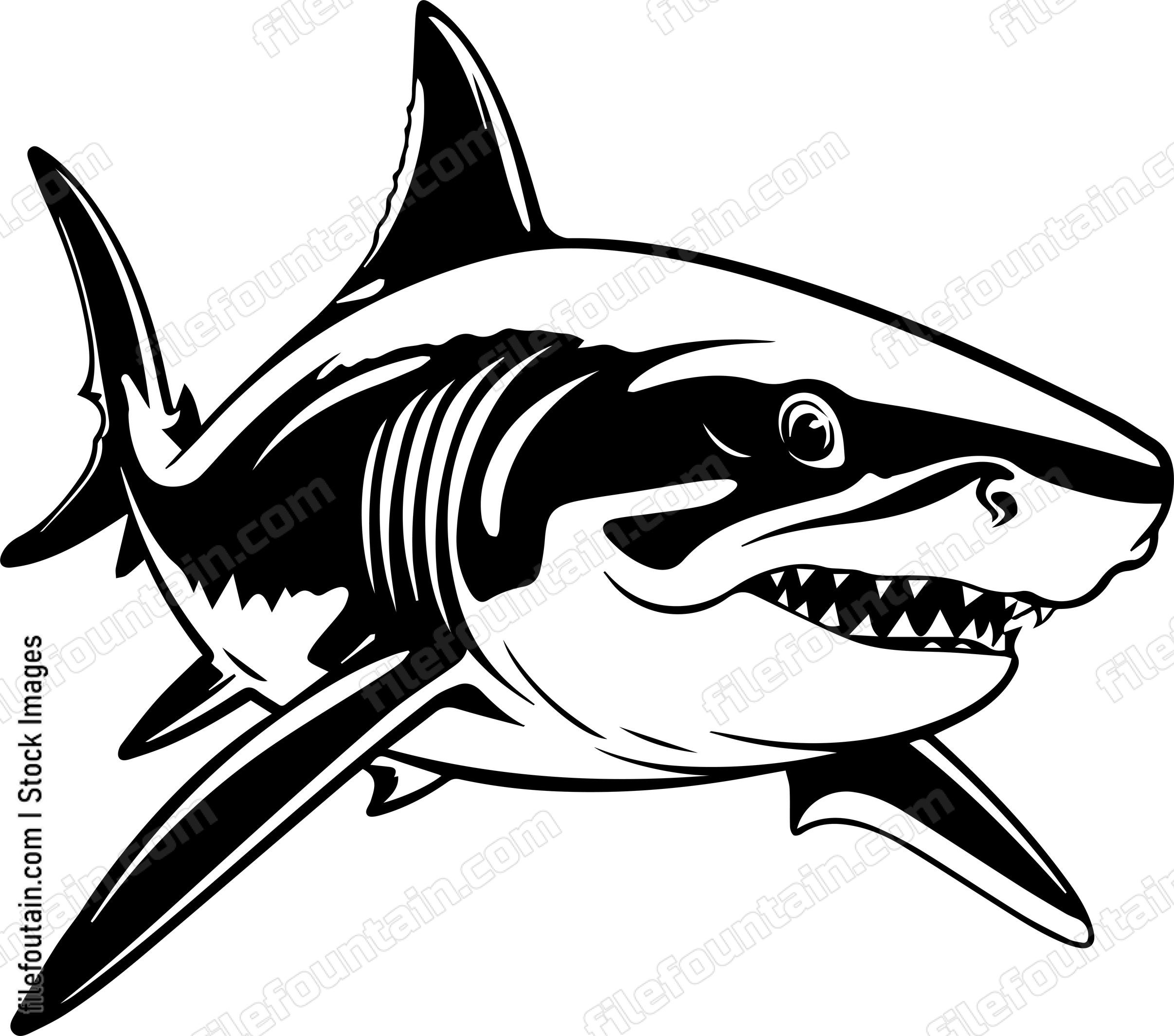Angry Shark Face