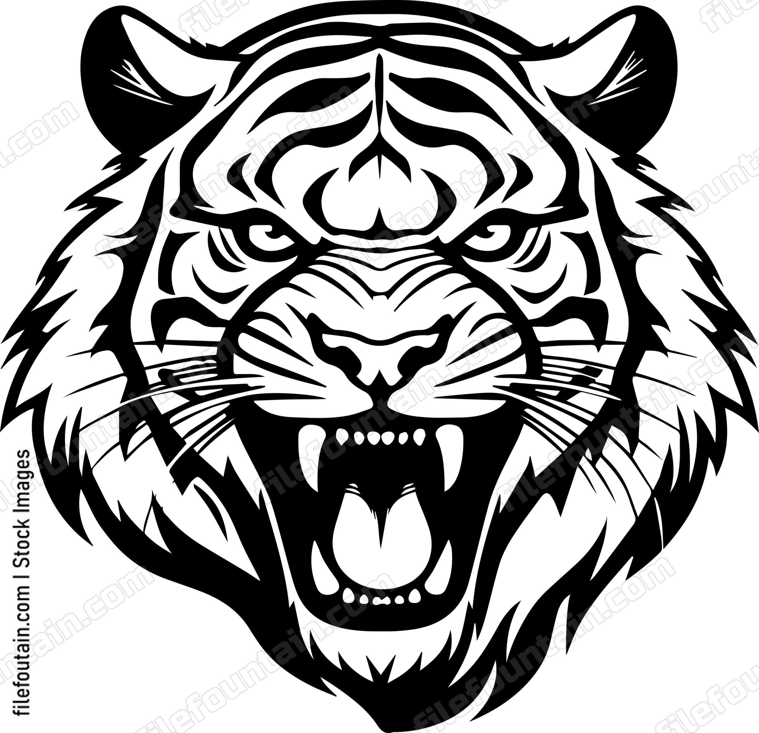 Angry Tiger Hissing