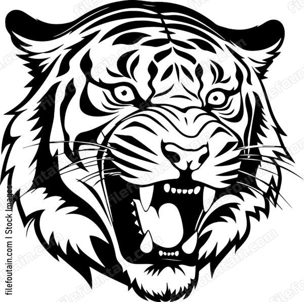 Angry Tiger Hissing