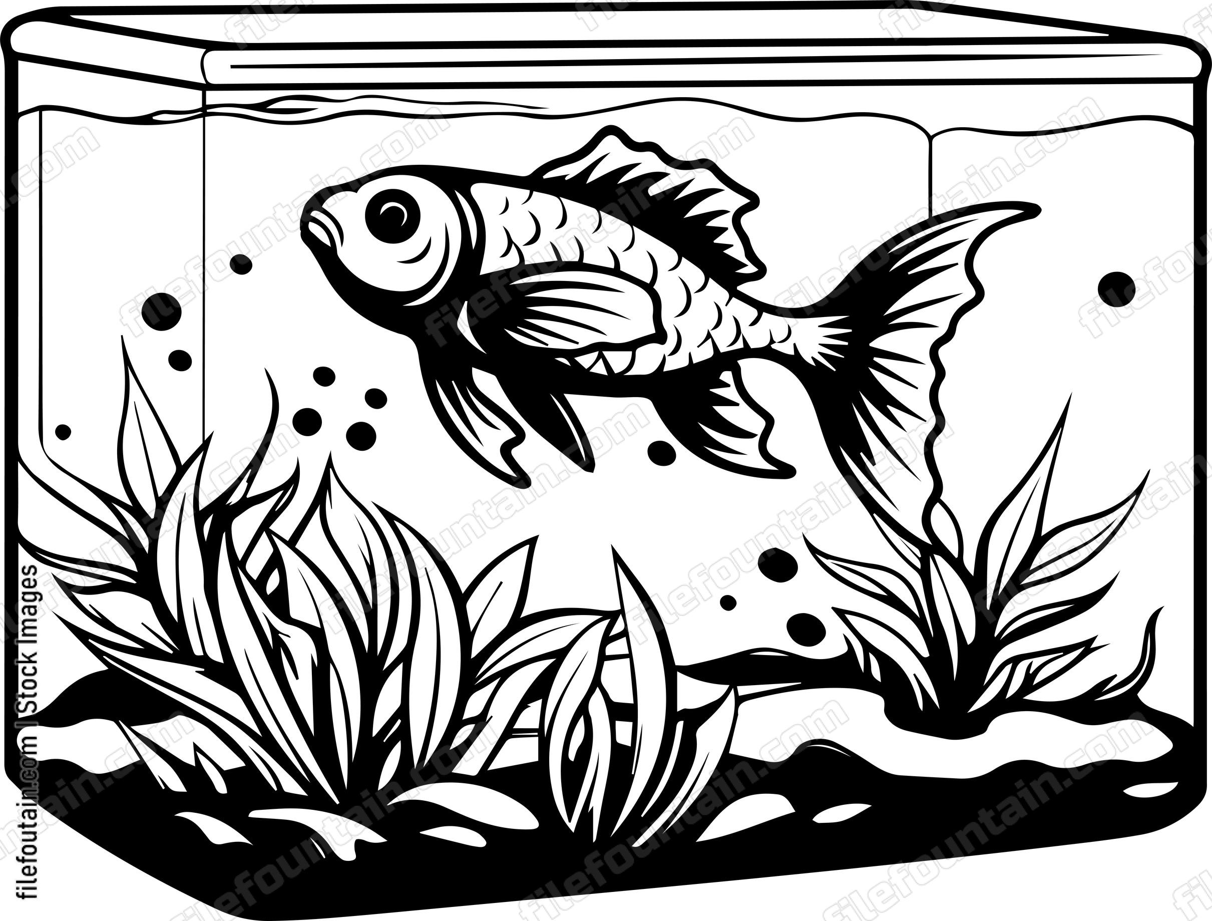Aquarium