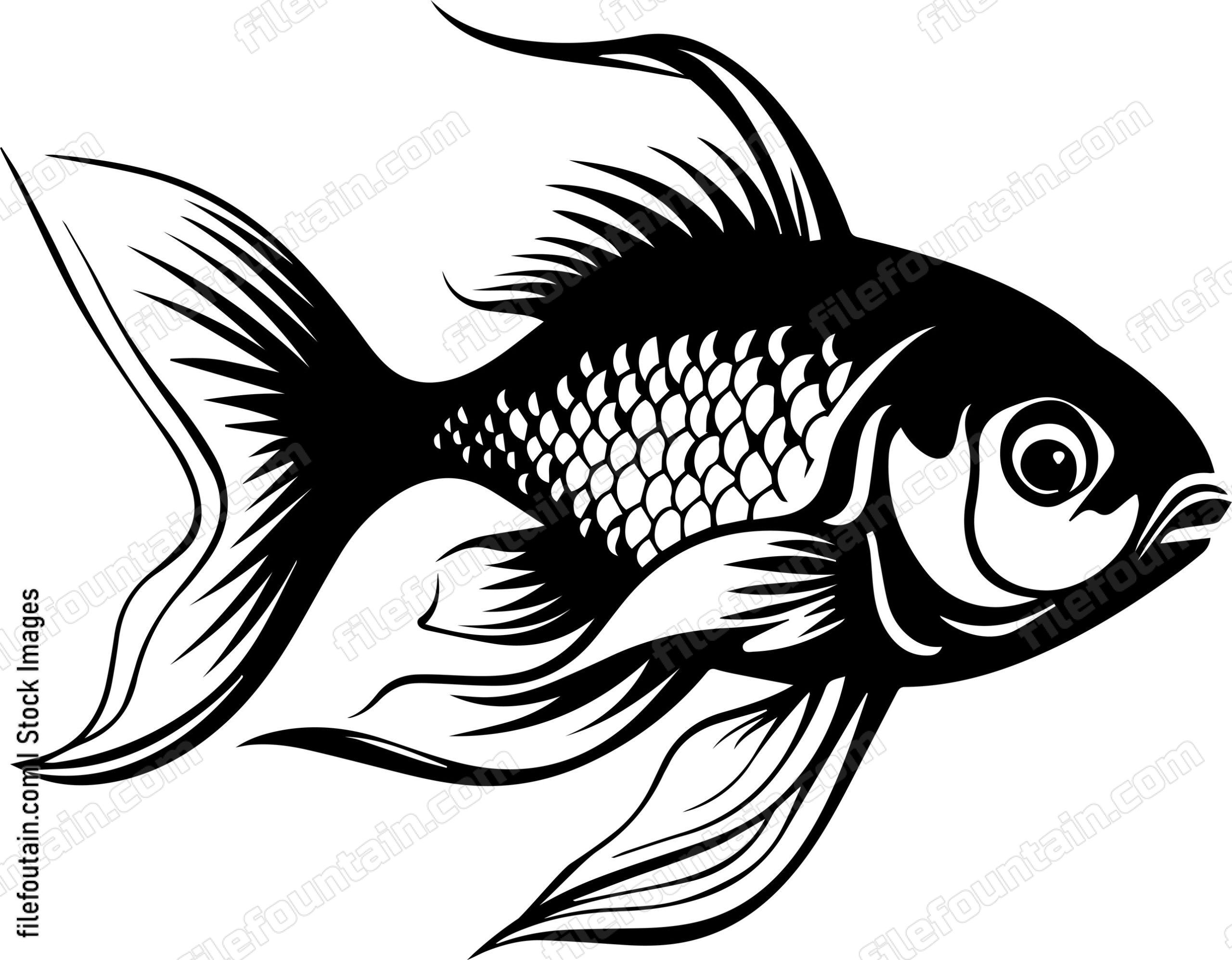Aquarium Fish