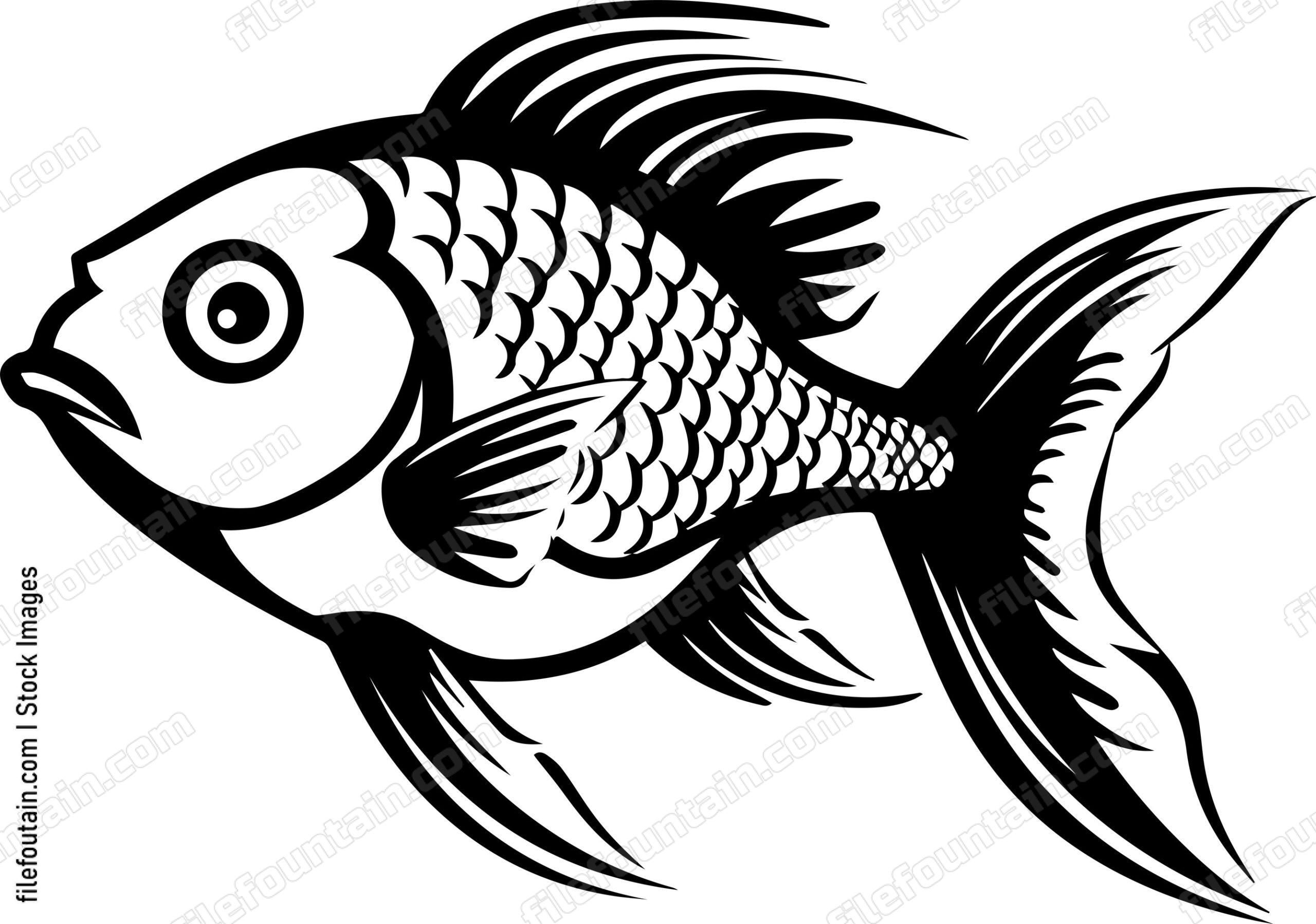 Aquarium Fish