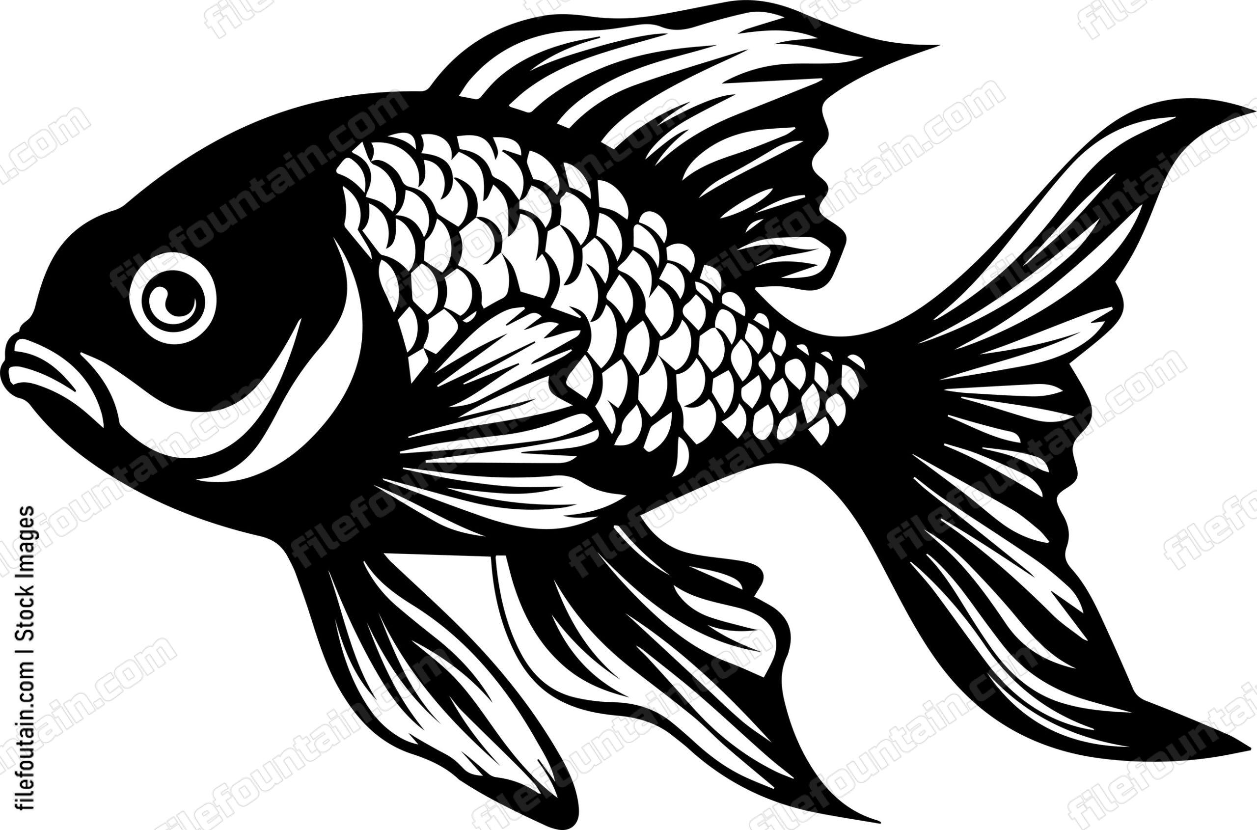 Aquarium Fish