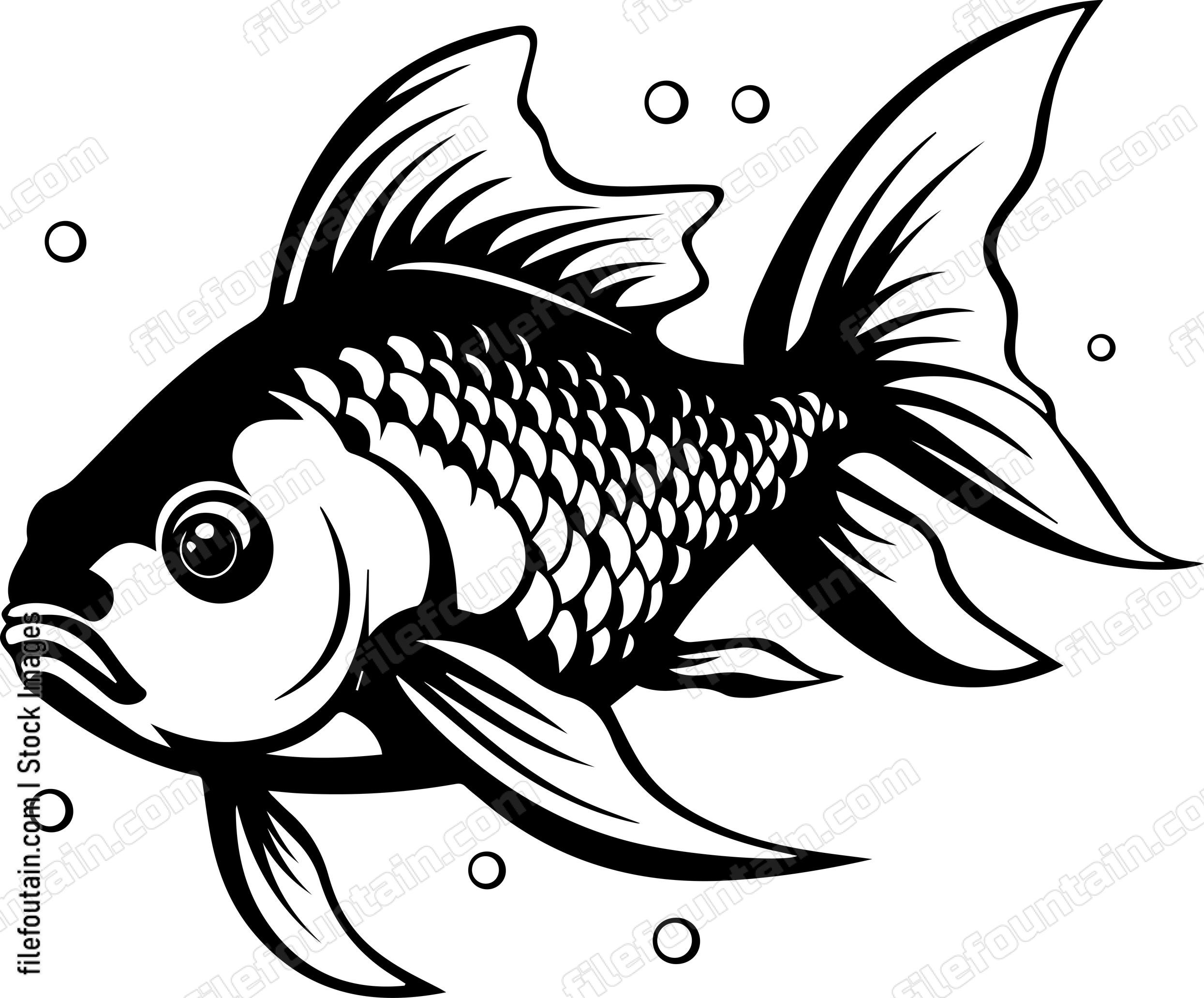 Aquarium Fish