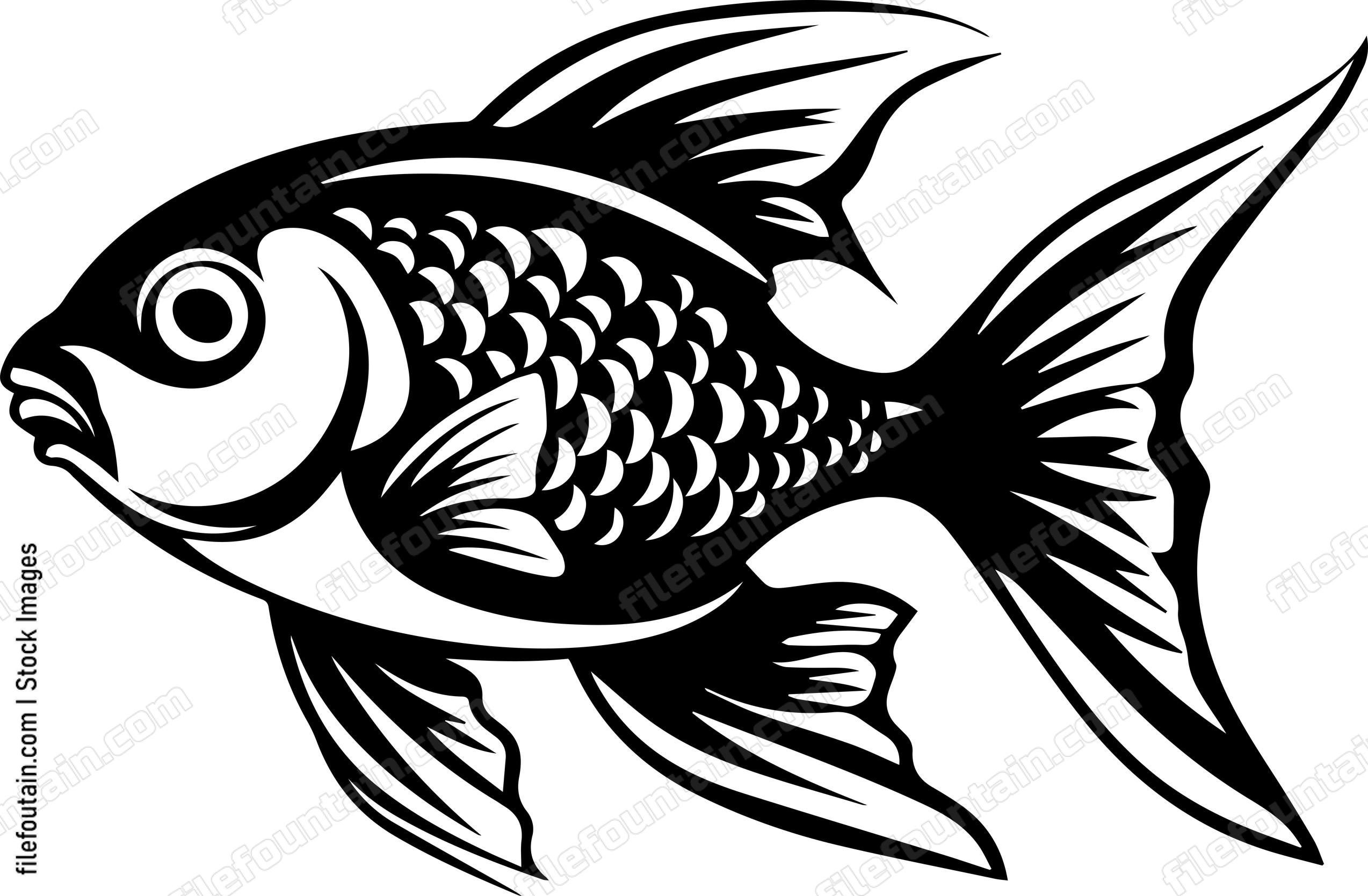 Aquarium Fish
