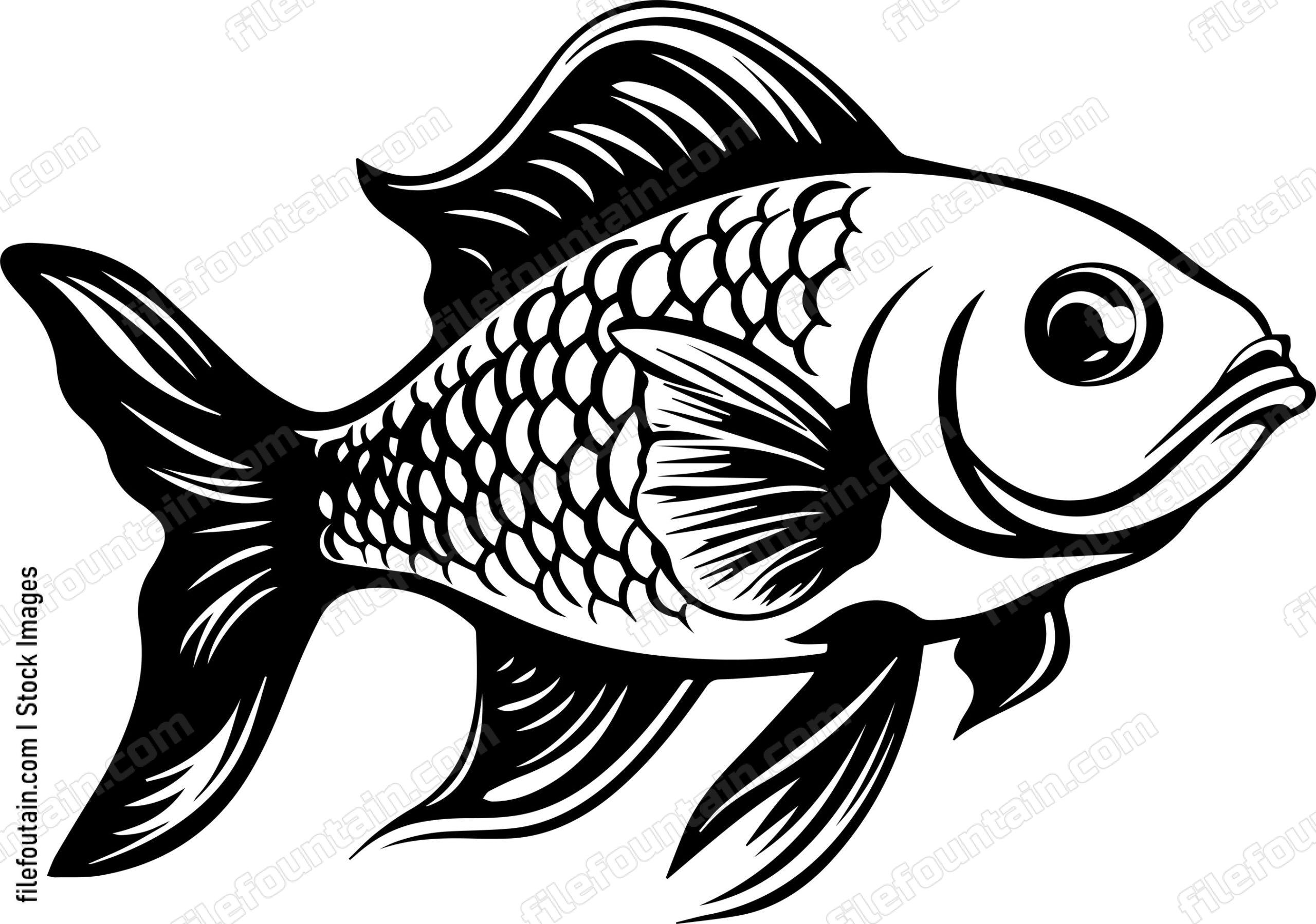 Aquarium Fish