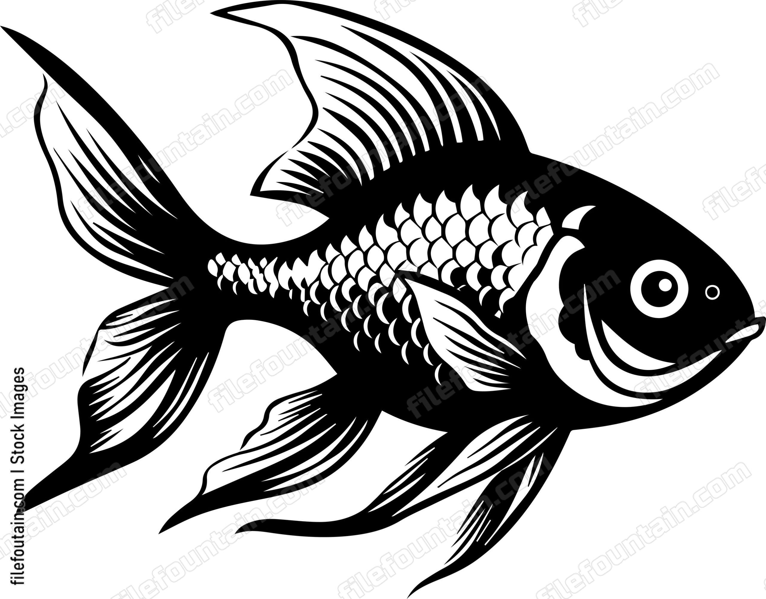 Aquarium Fish