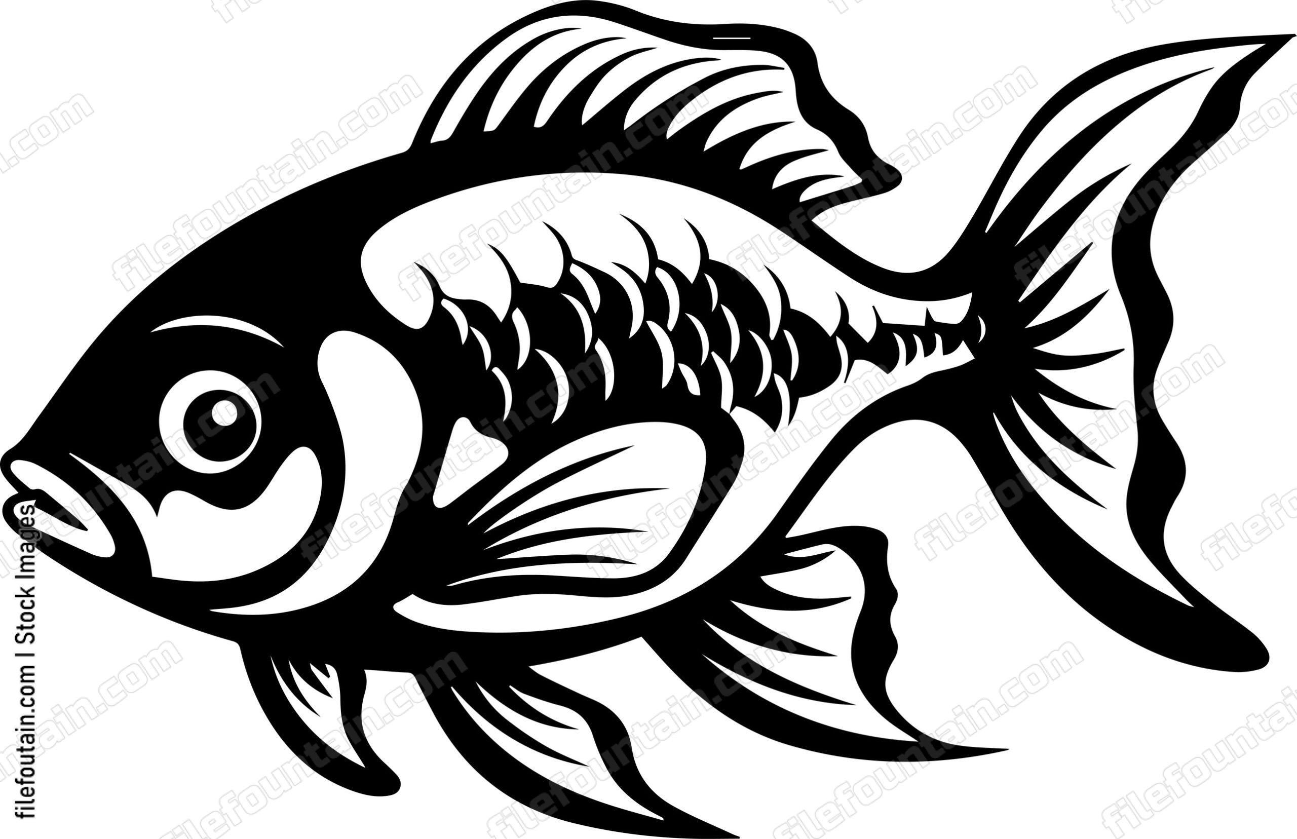 Aquarium Fish