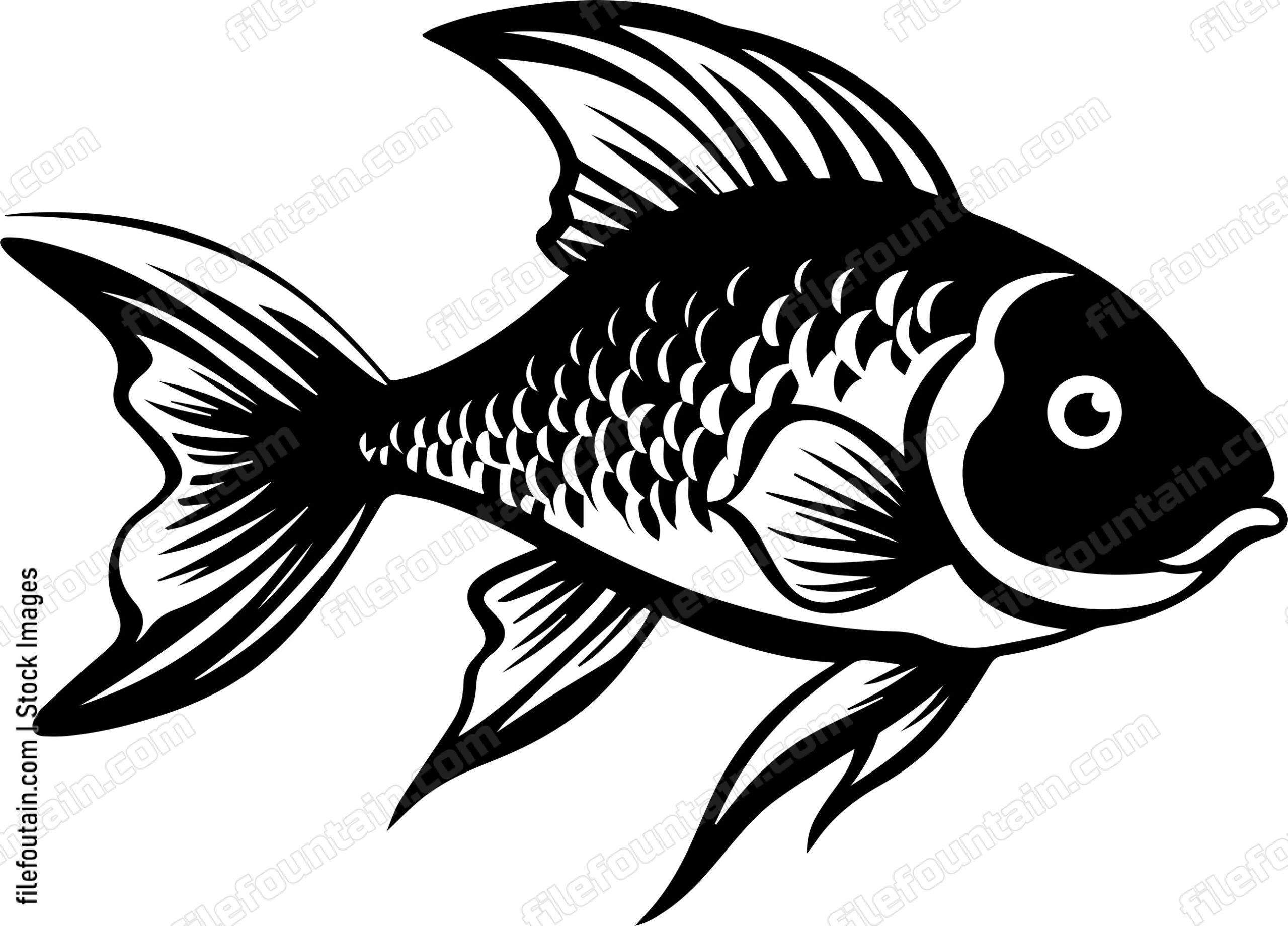 Aquarium Fish