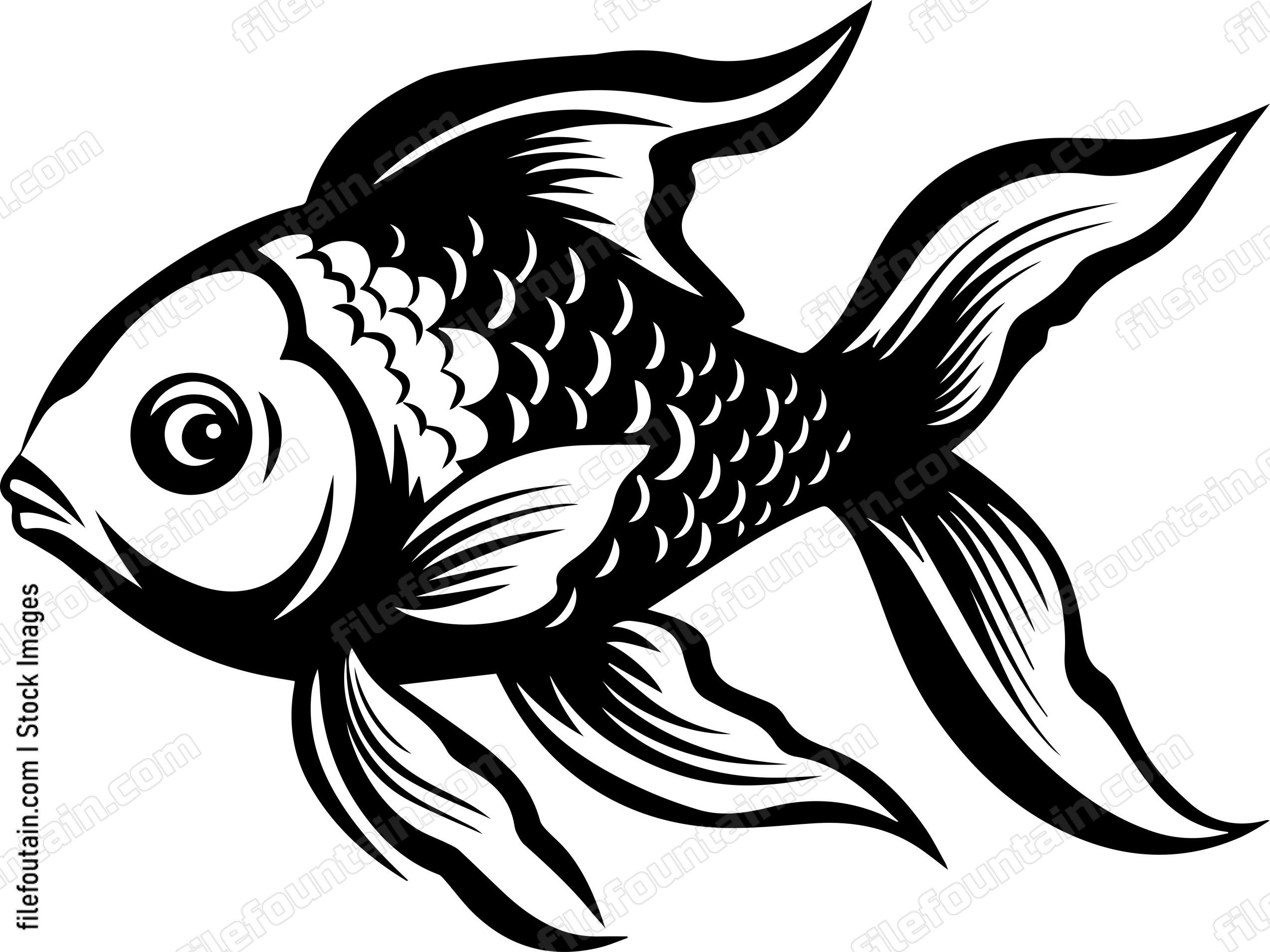 Aquarium Fish