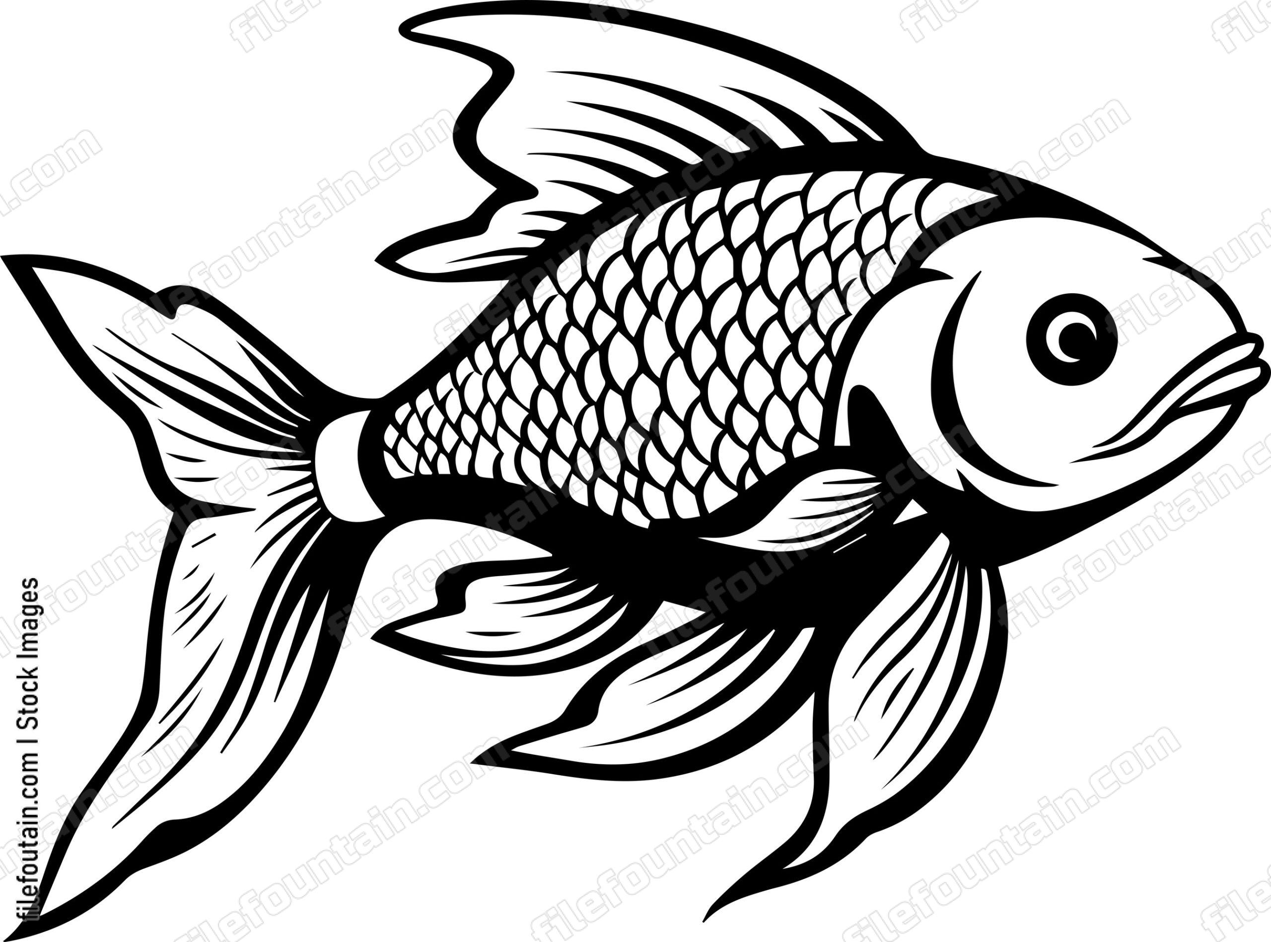 Aquarium Fish