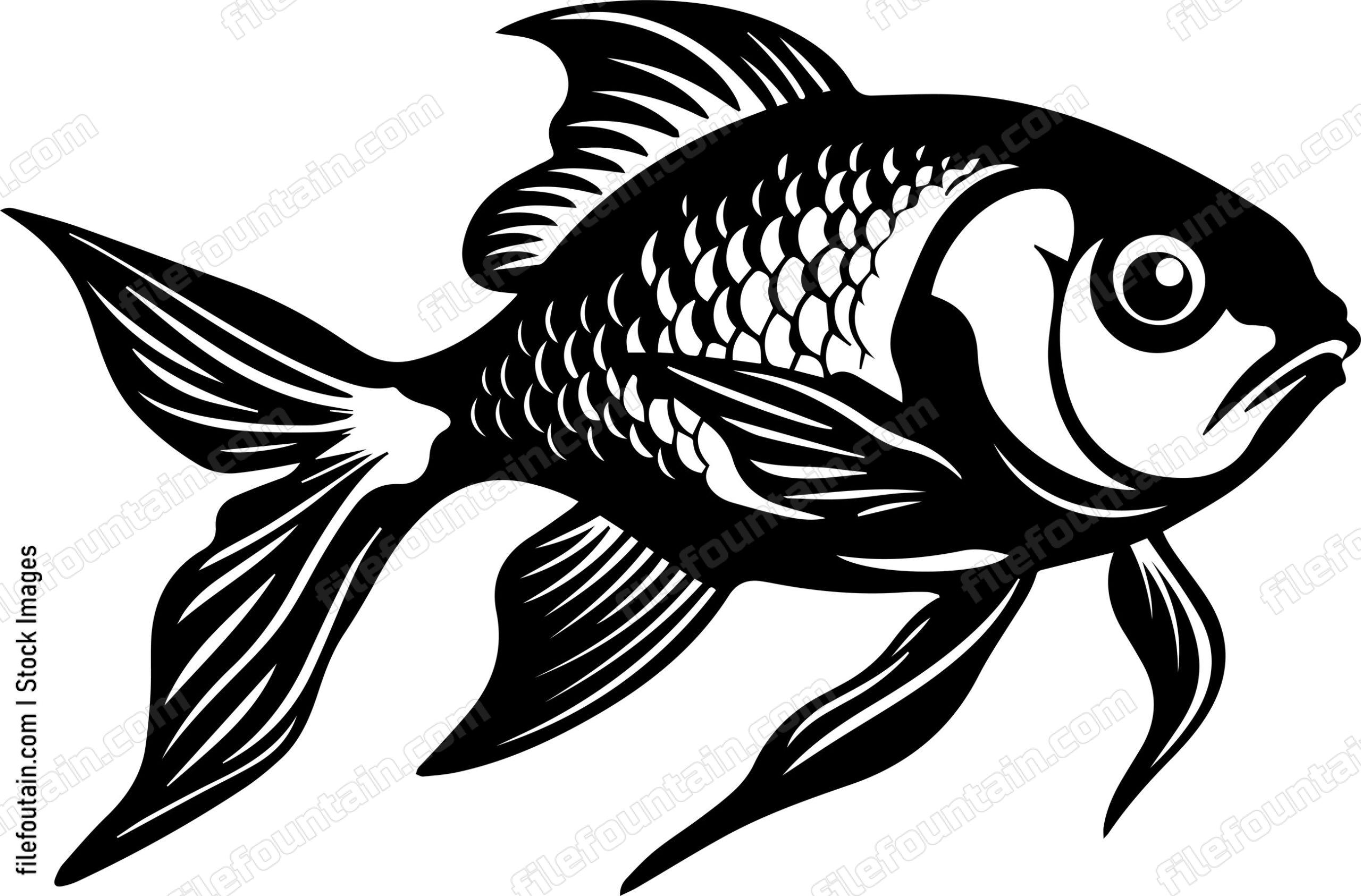 Aquarium Fish