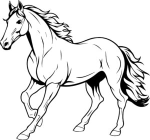 Arabian Horse