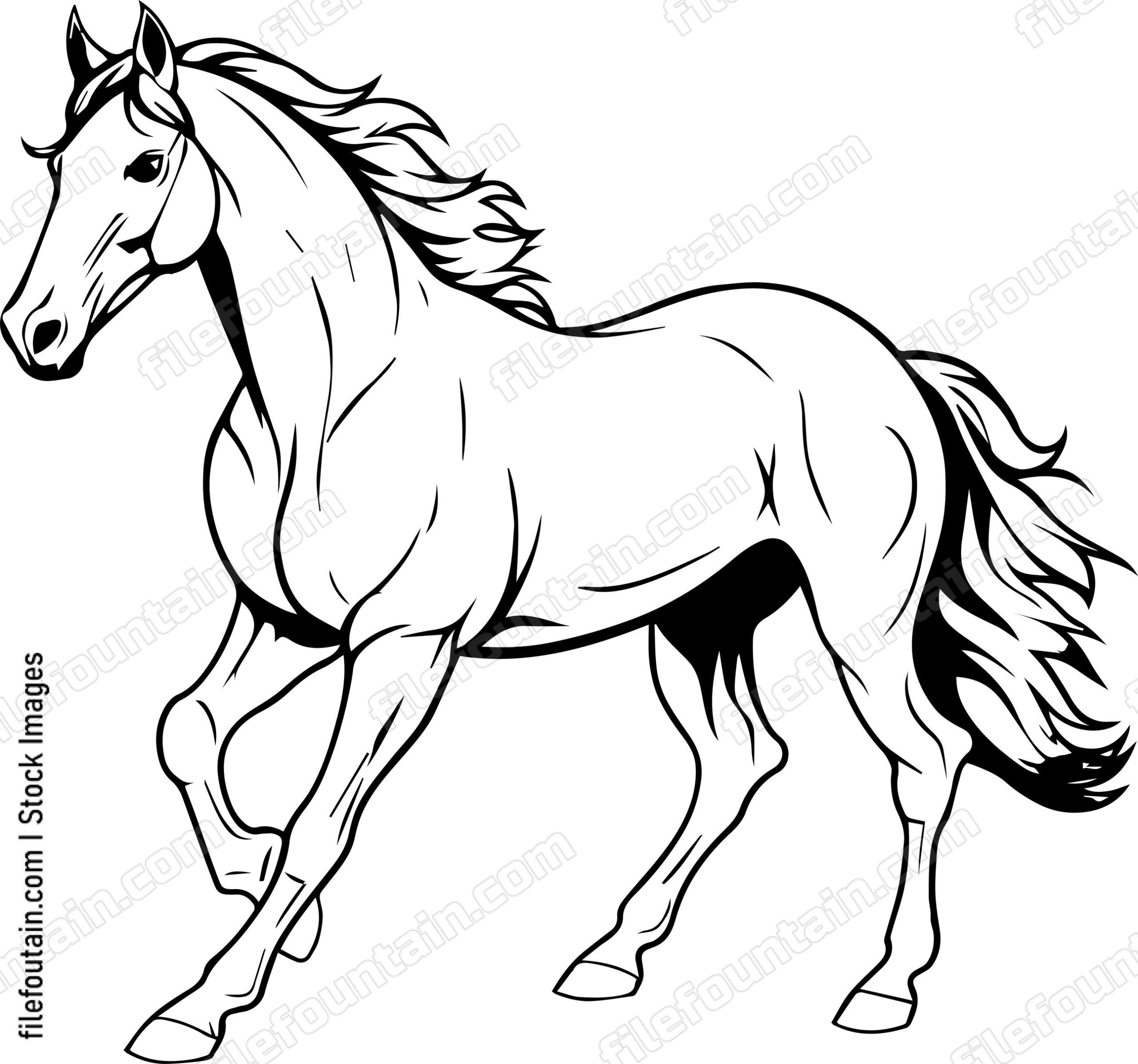 Arabian Horse