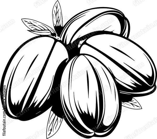 Argan Seeds
