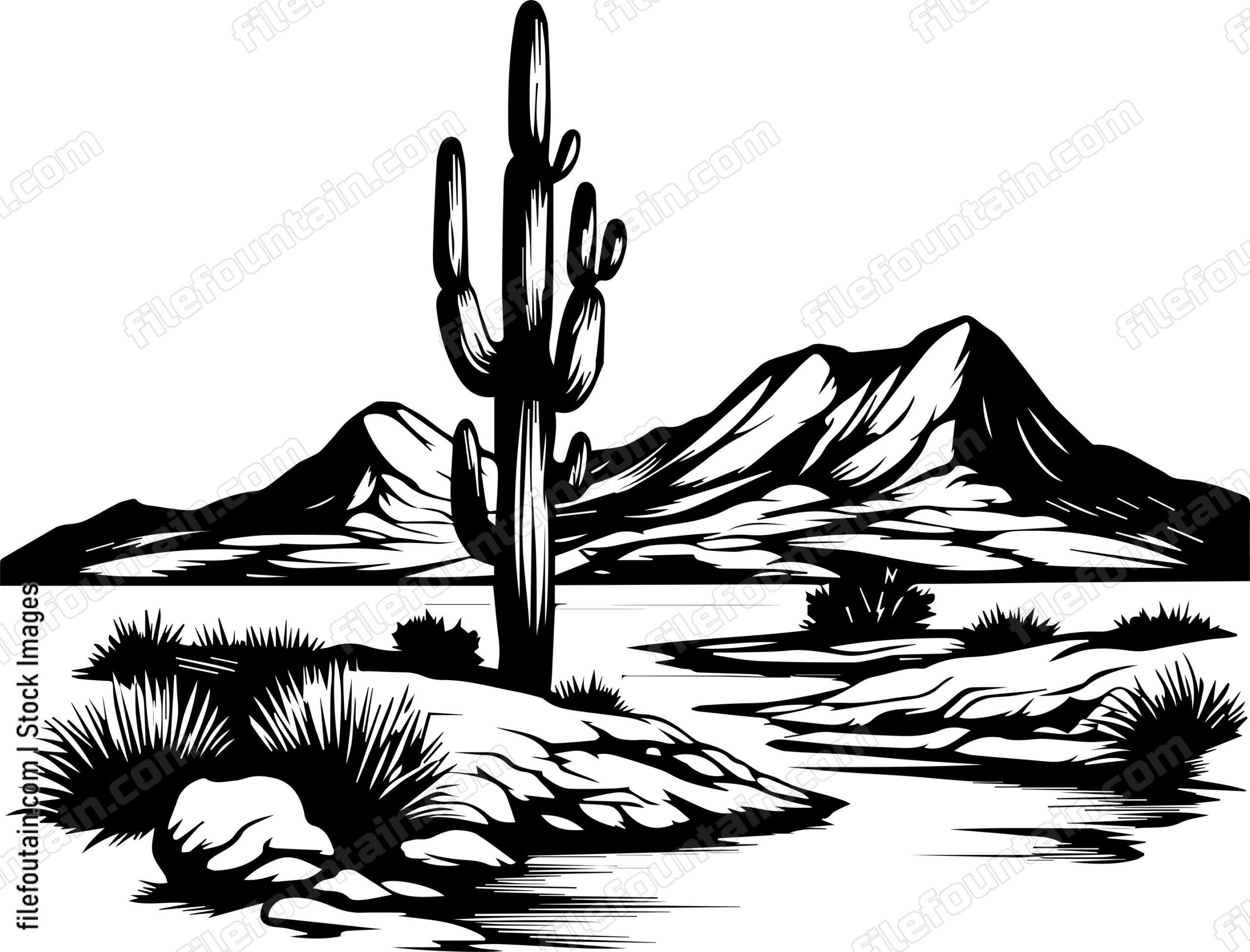 Arizona Desert