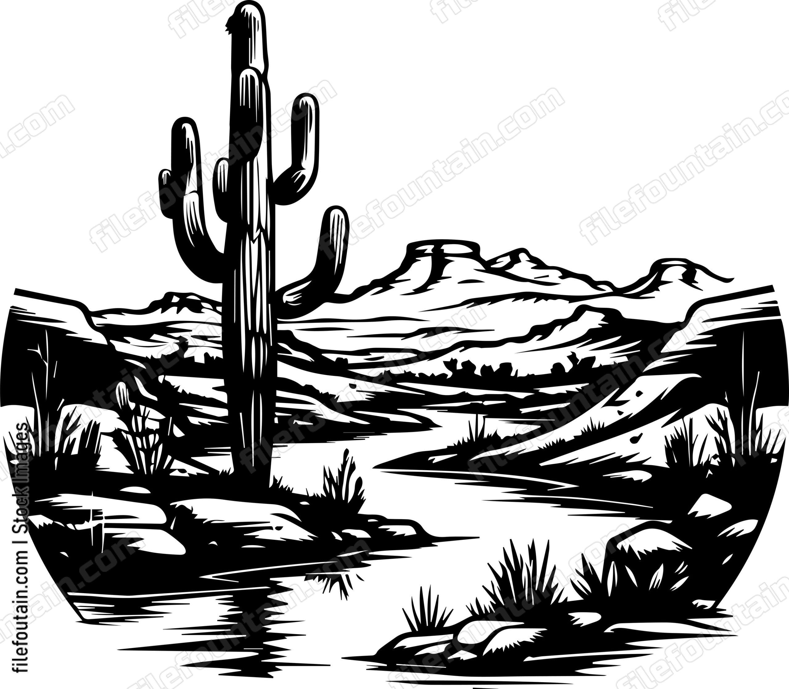 Arizona Desert