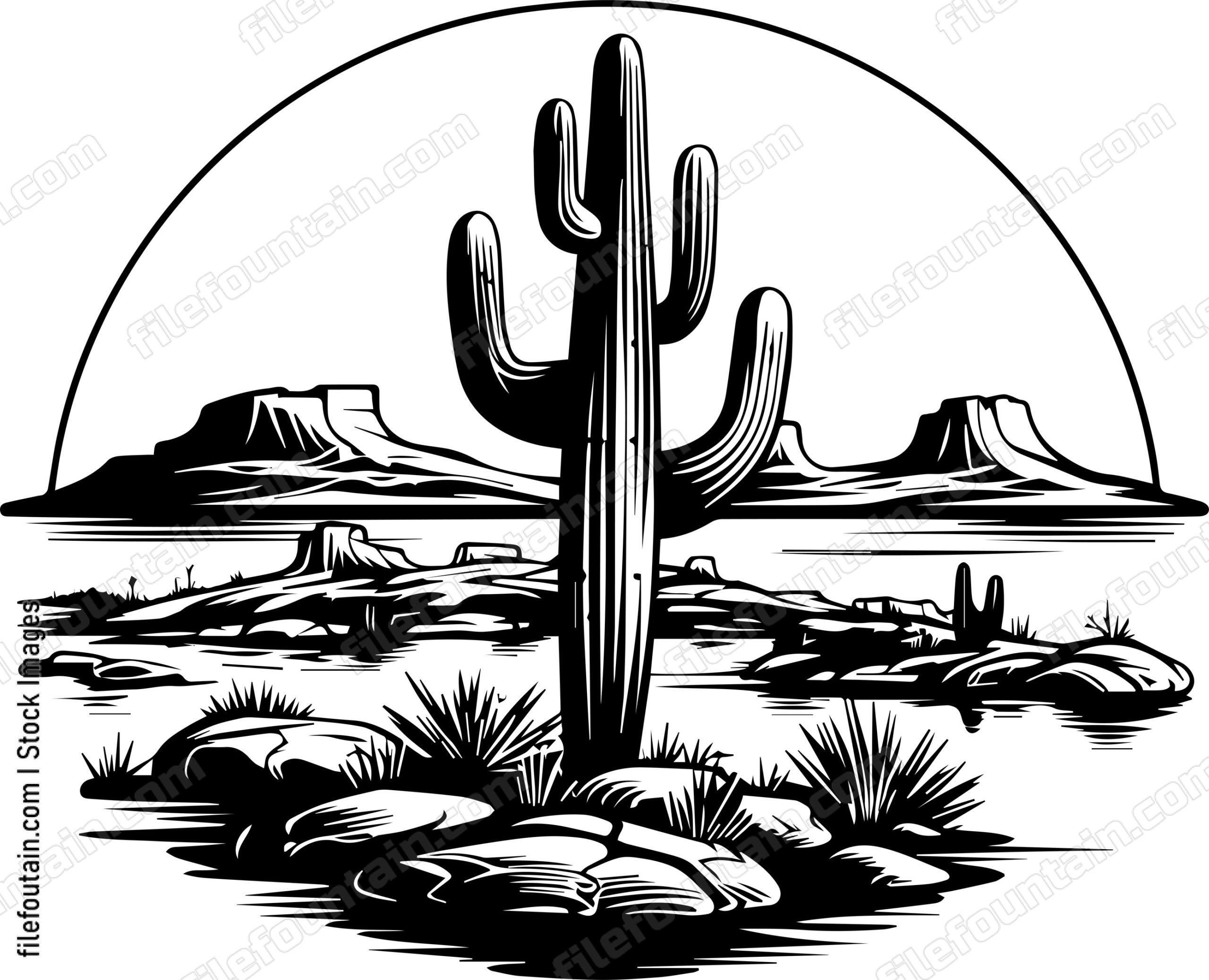 Arizona Landscape